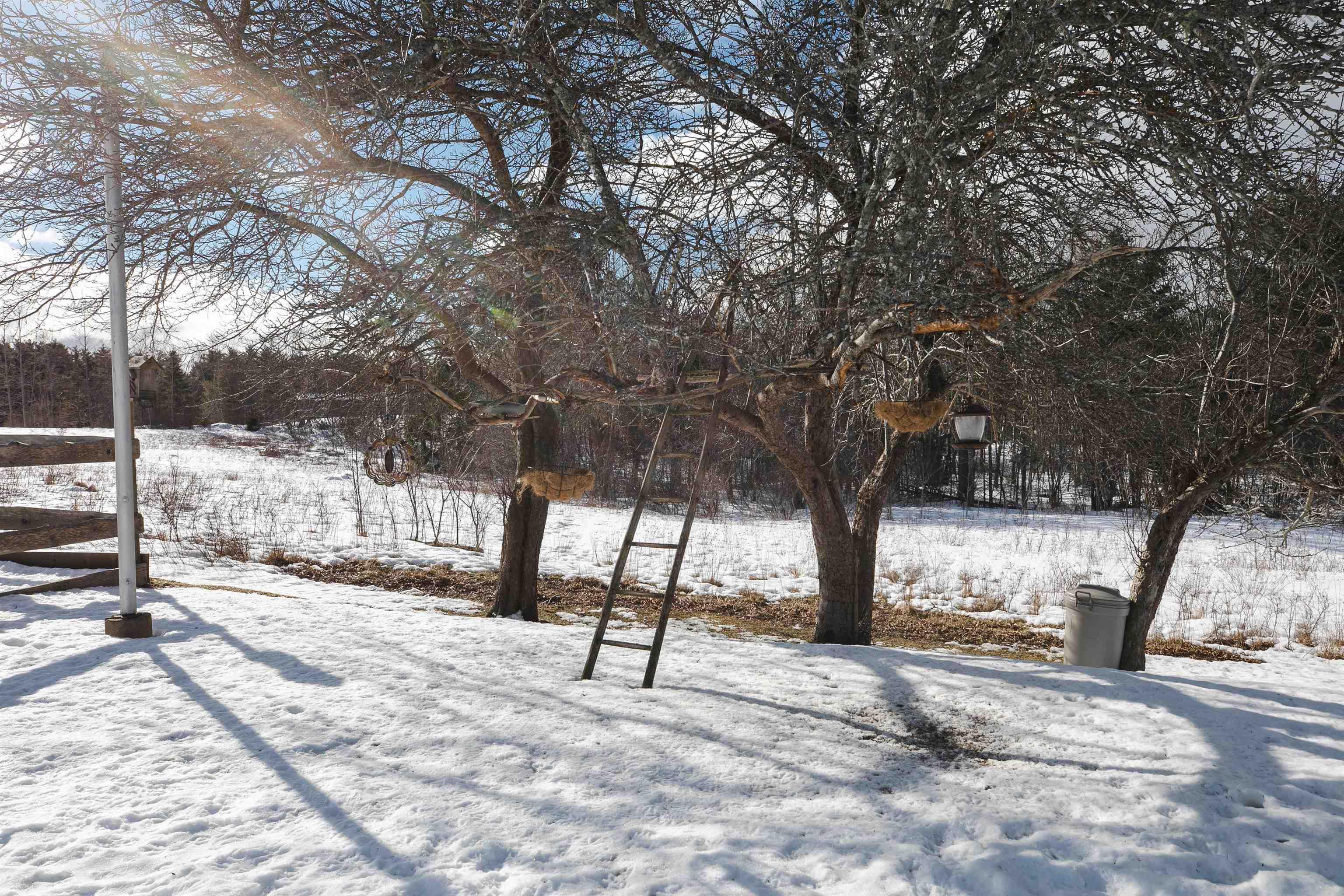 $1,199,000.00: 56 Harold Road, Martins Point