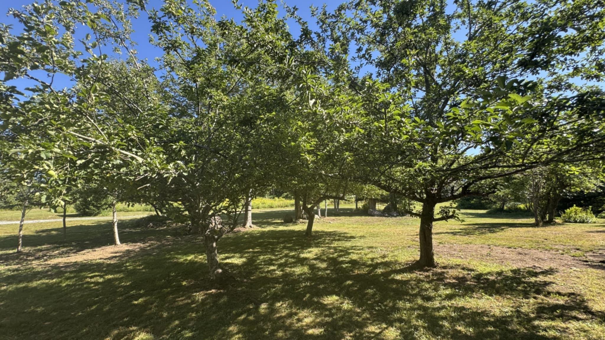 $369,900.00: 41 Eldoras Lane, Sheet Harbour