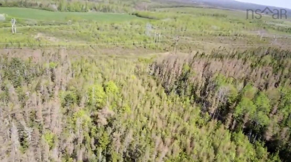 $249,900.00: Lot 2 Highway, Lower Onslow