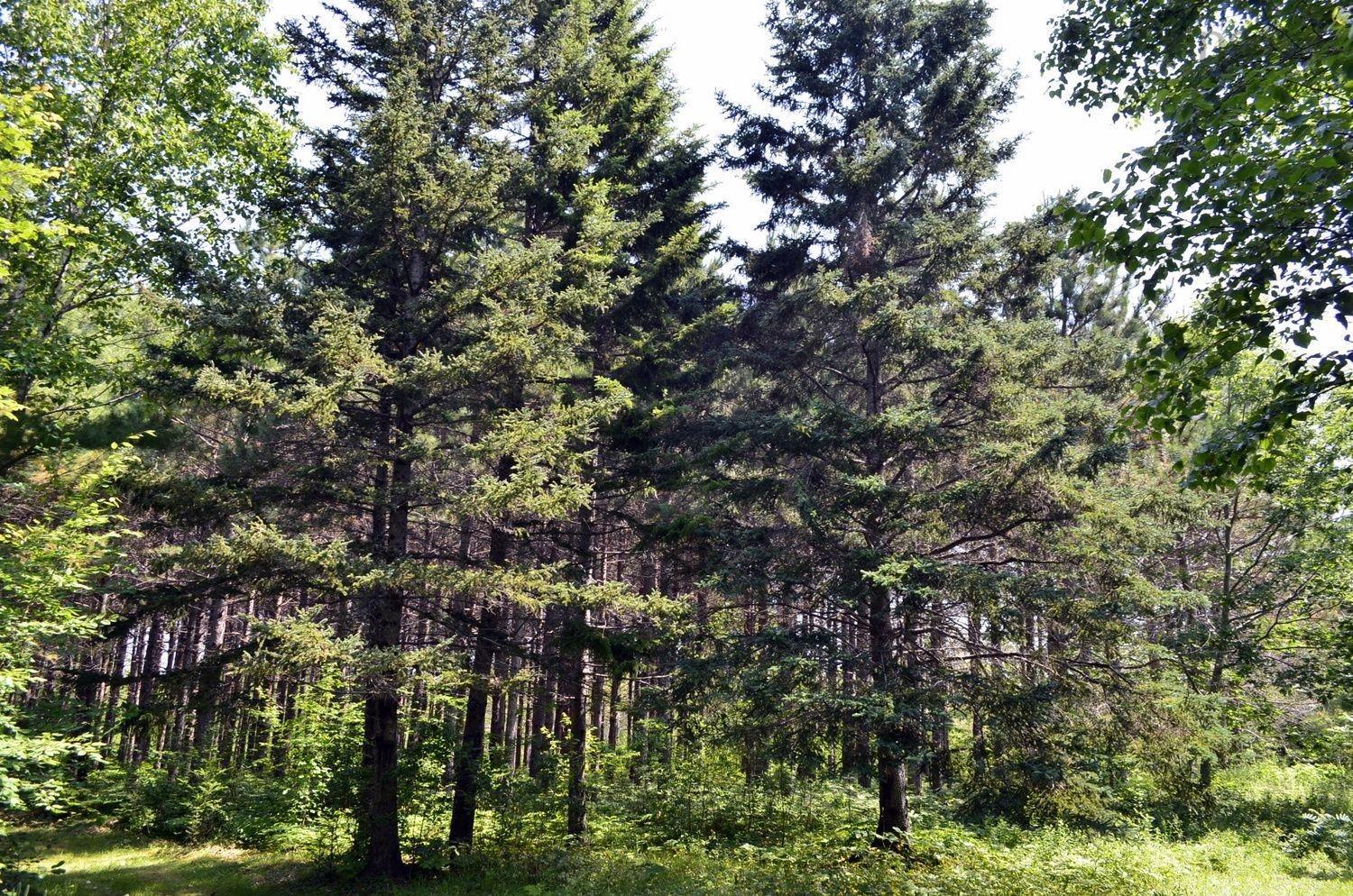 $625,860.00: 41 Colonial Arms Drive, Deep Brook