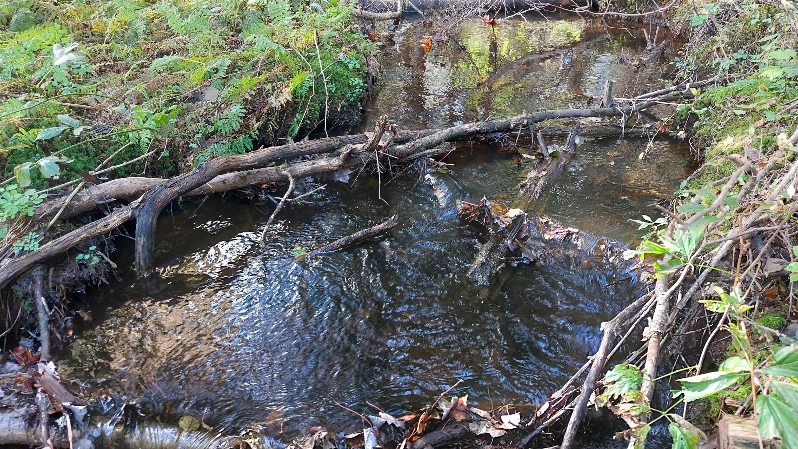 $59,000.00: Lot 7 Lower River Rd, Cleveland