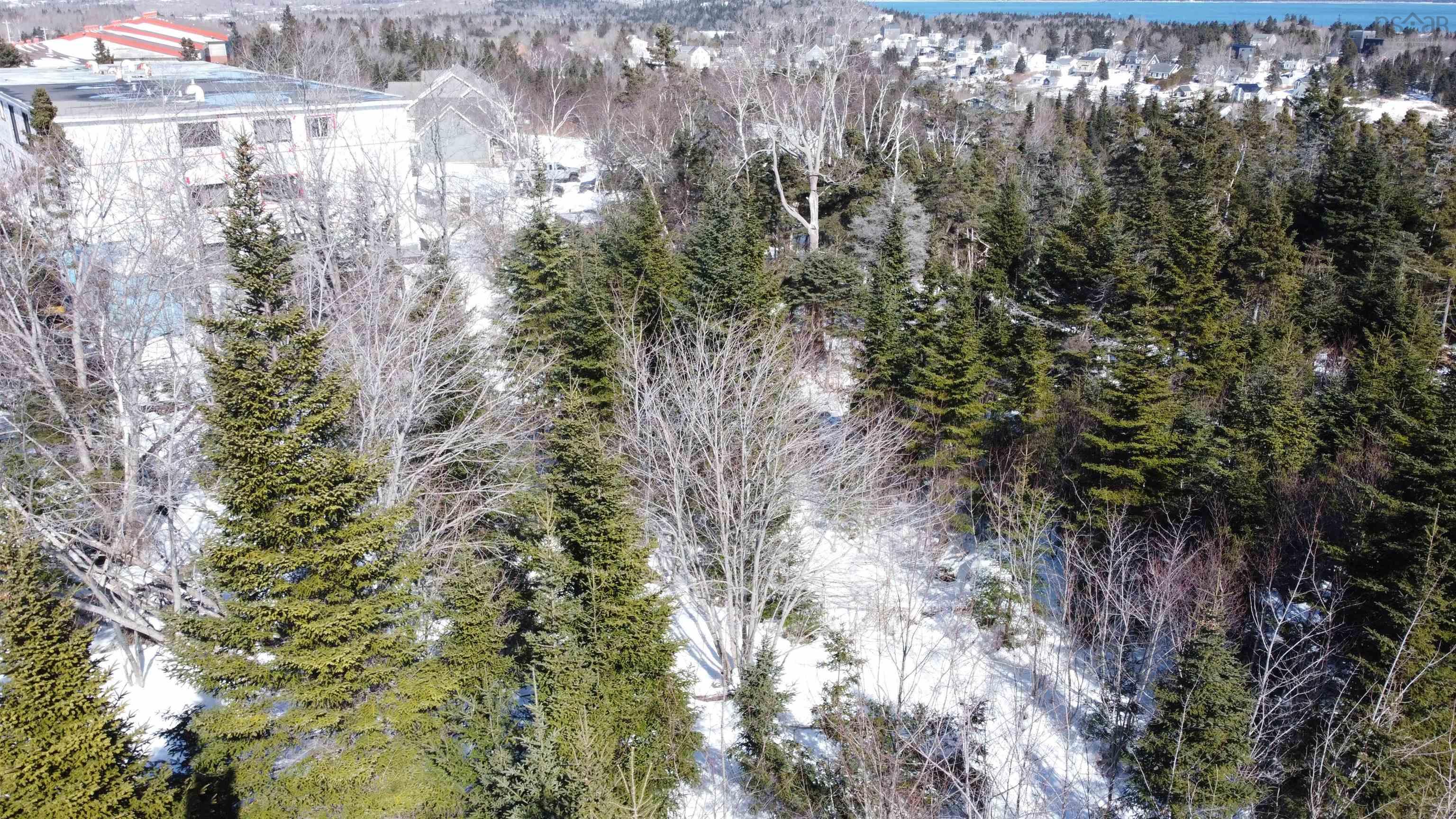 12 Dragonfly Lane, Herring Cove, NS (MLS 202603190)