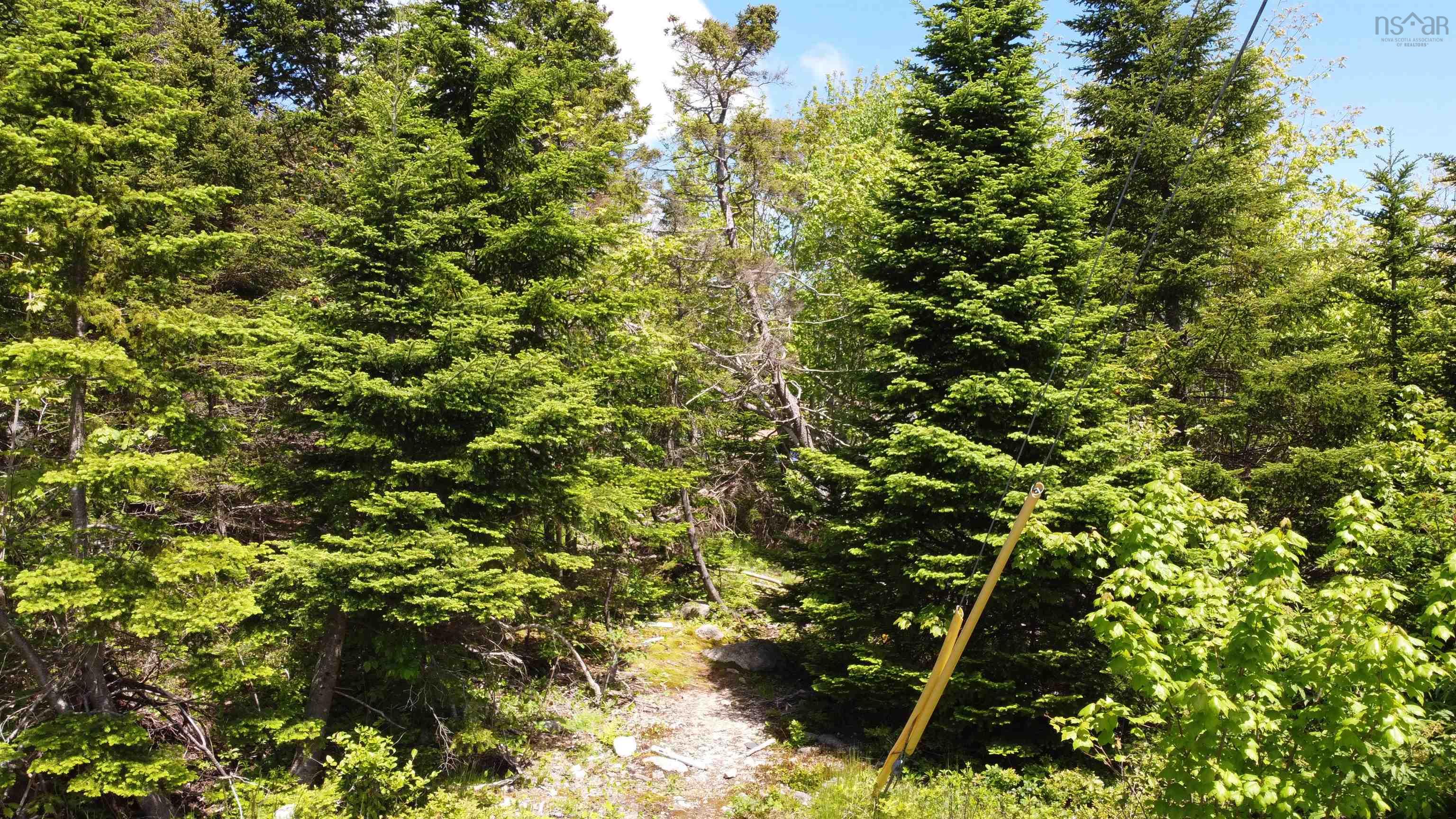 12 Dragonfly Lane, Herring Cove, NS (MLS 202603190)