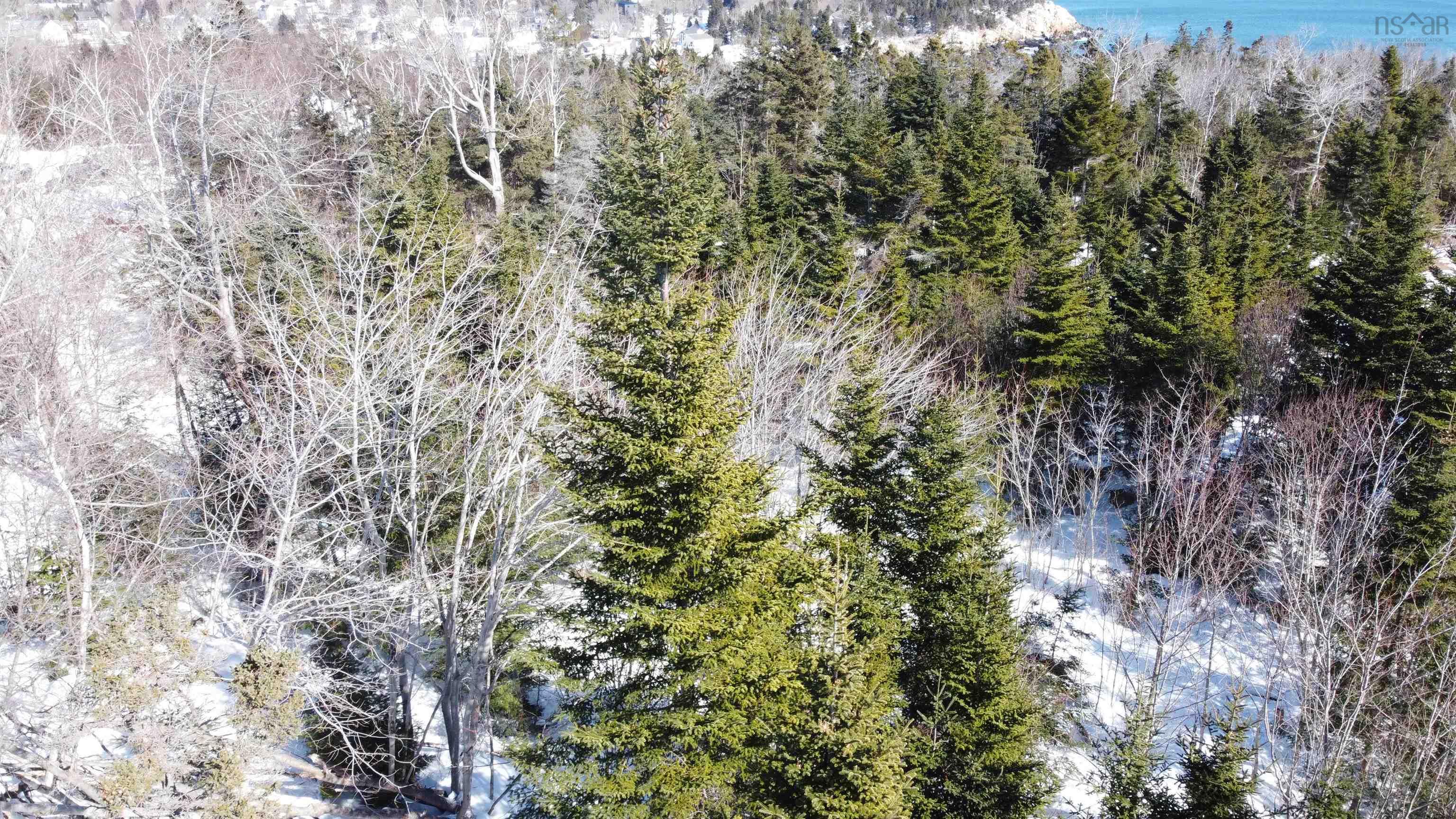 12 Dragonfly Lane, Herring Cove, NS (MLS 202603190)