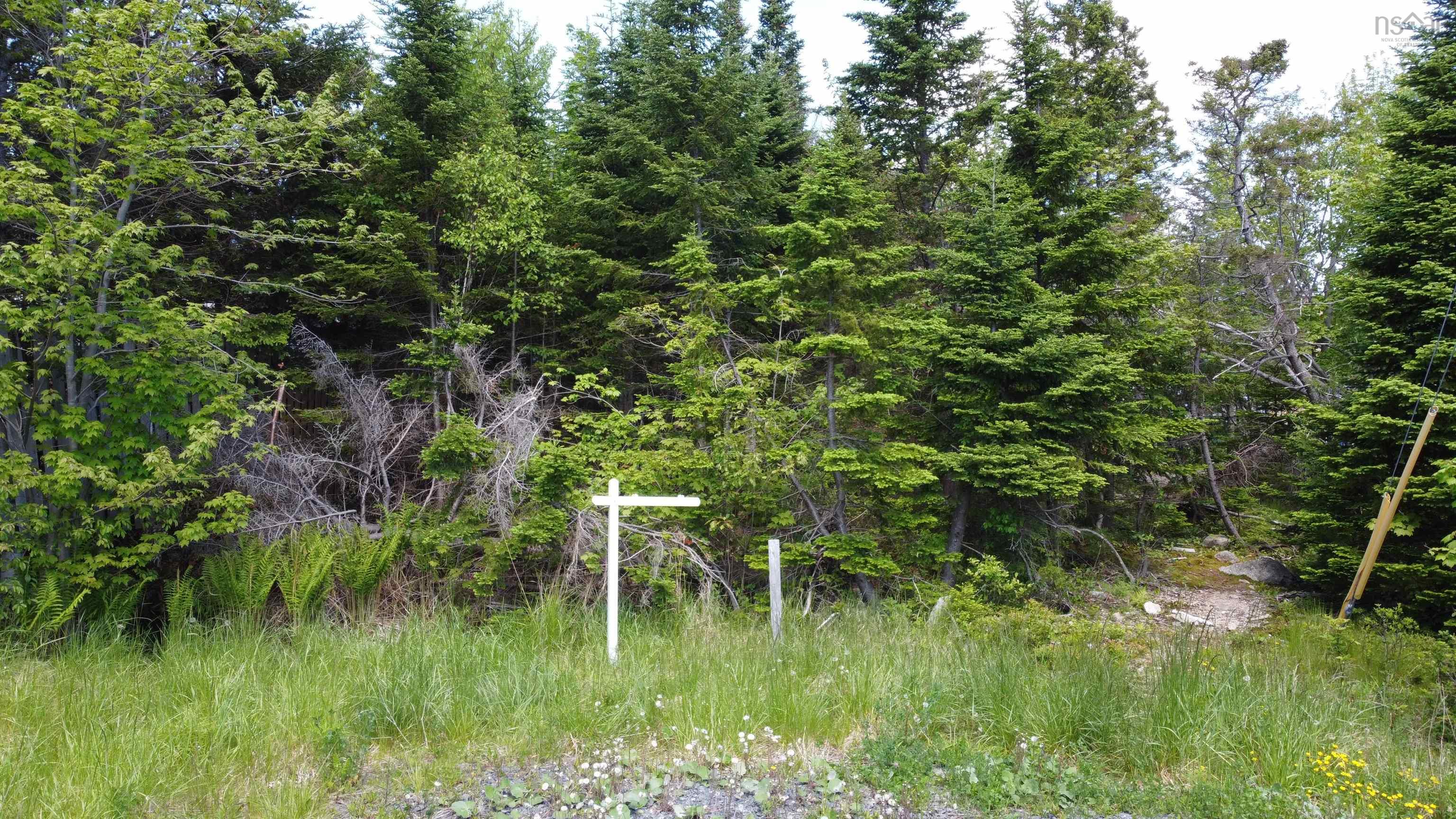 12 Dragonfly Lane, Herring Cove, NS (MLS 202603190)