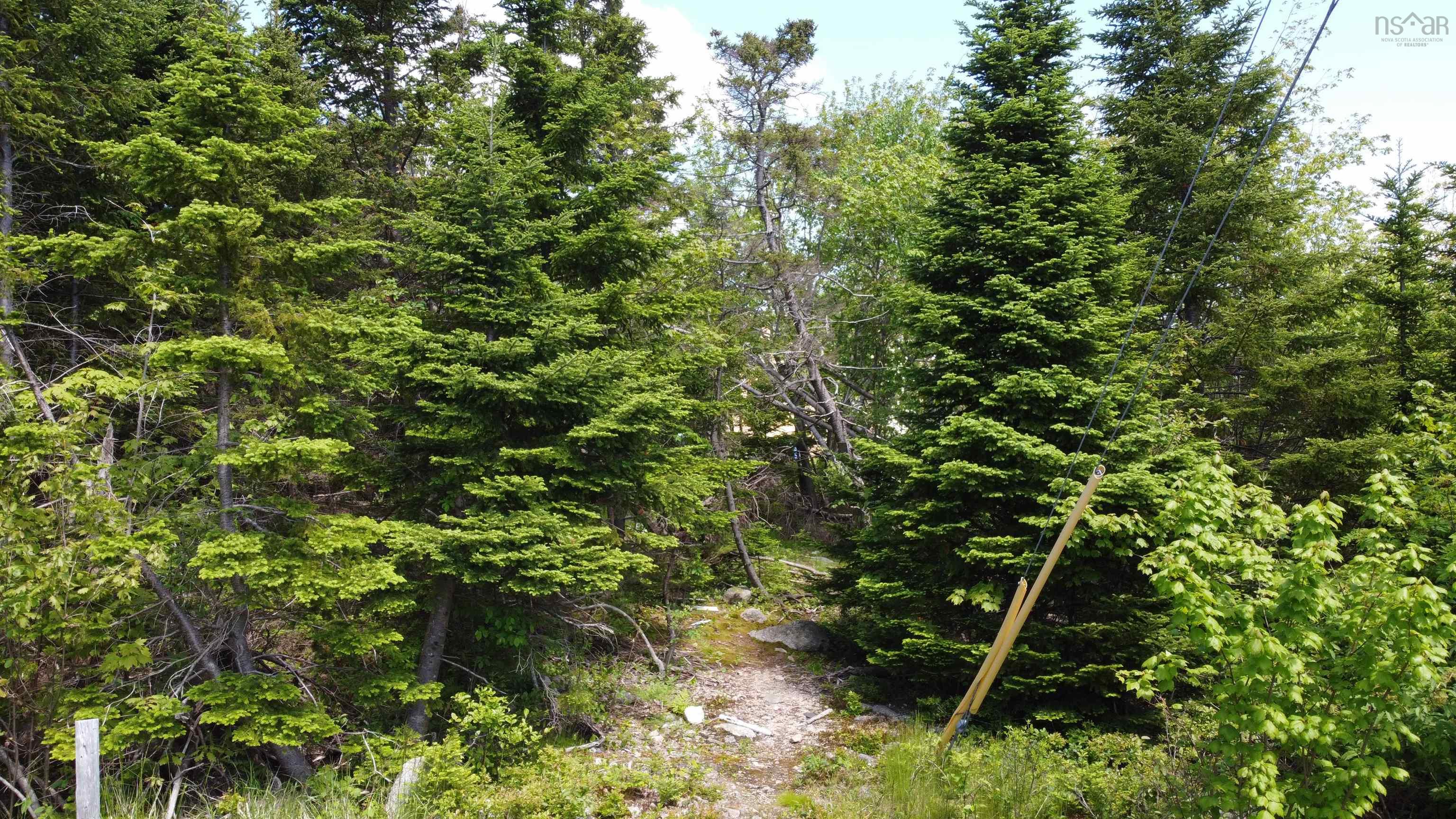 12 Dragonfly Lane, Herring Cove, NS (MLS 202603190)