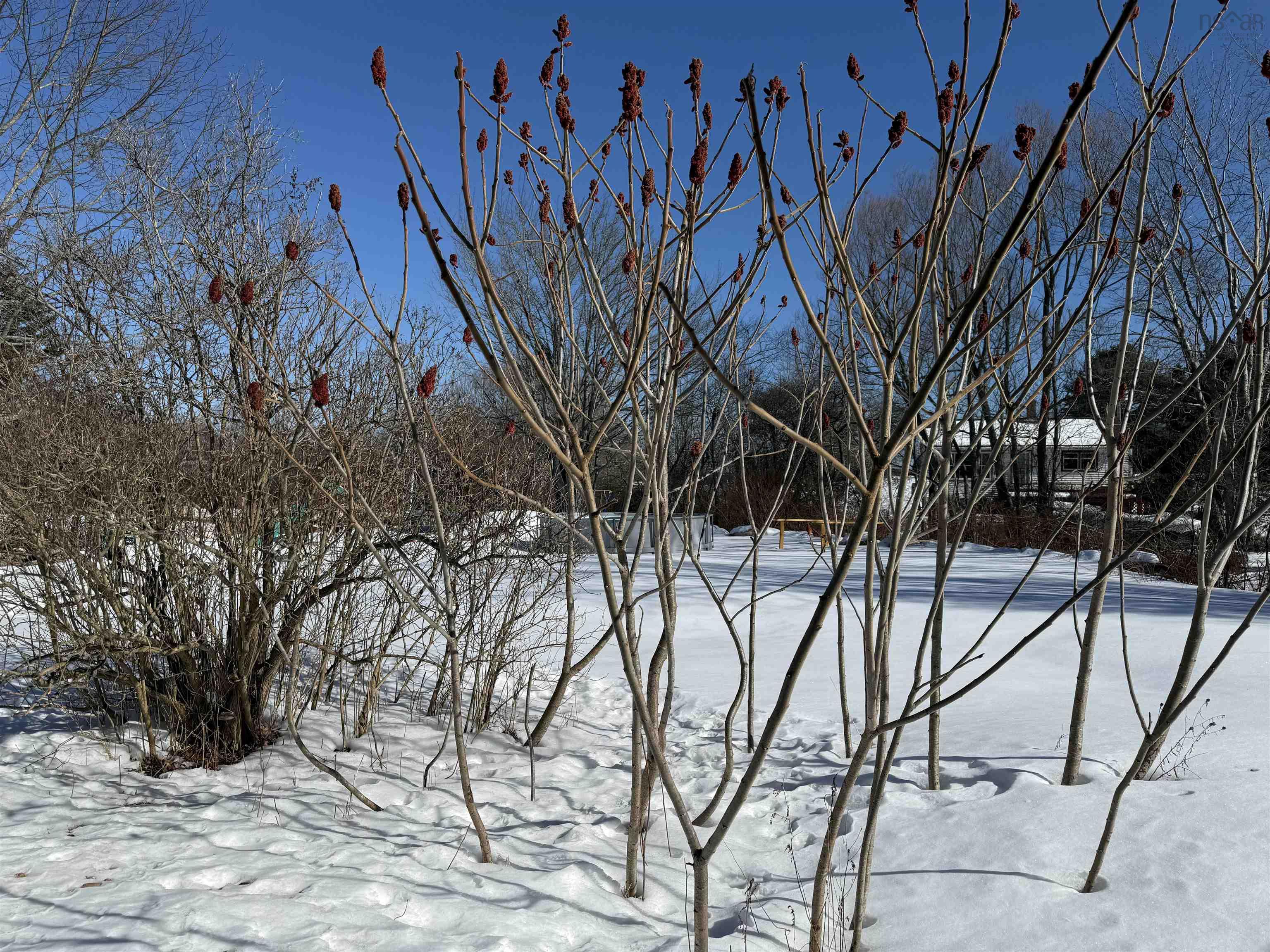 $249,900.00: 6515 Highway 3, Western Shore