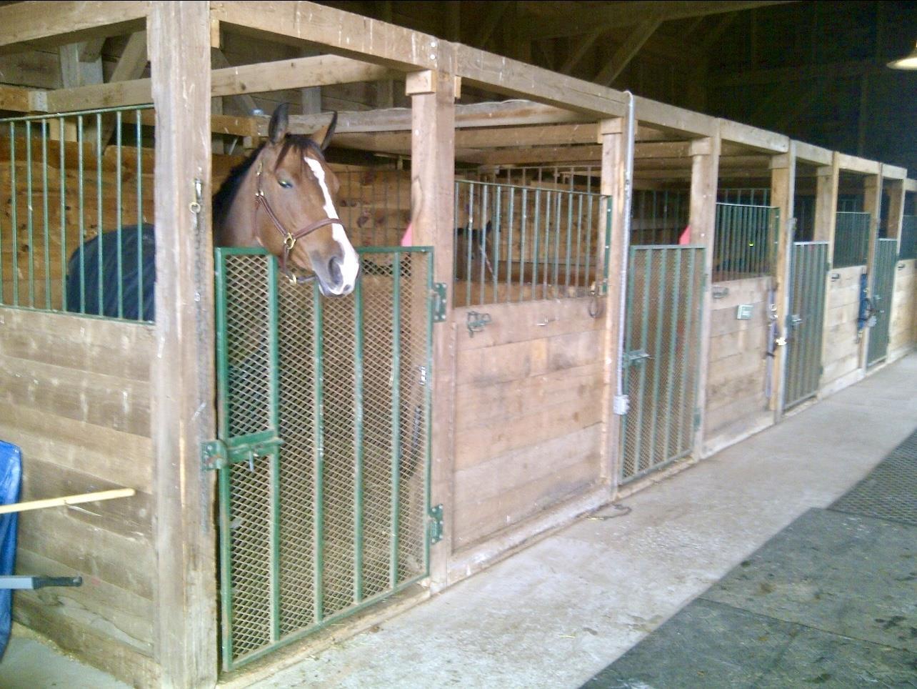 $429,000.00: 1316 Blue Sea Road, Malagash Point