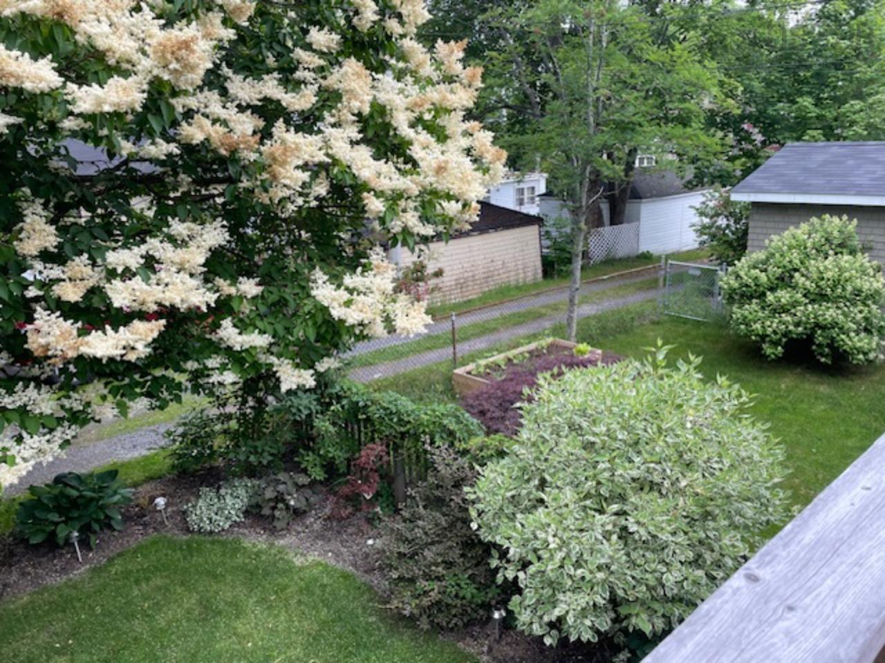 $1,495,000.00: 1588 Chestnut Street, Halifax