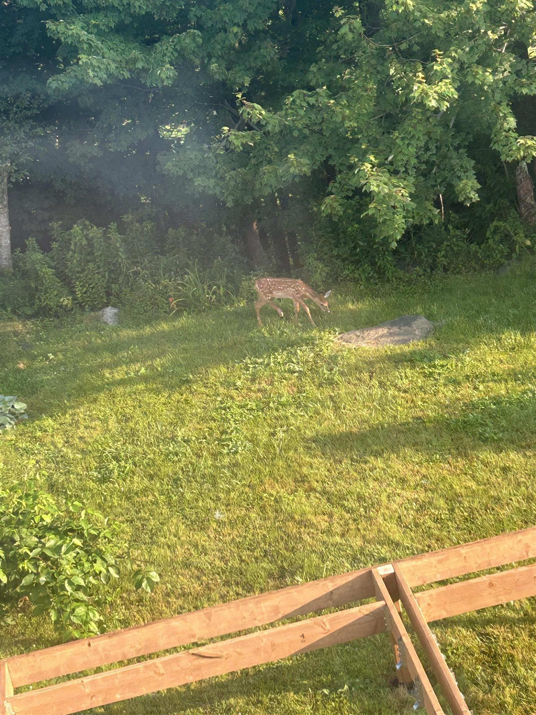 5 Apollo Court, Halifax, NS (MLS 202603240)