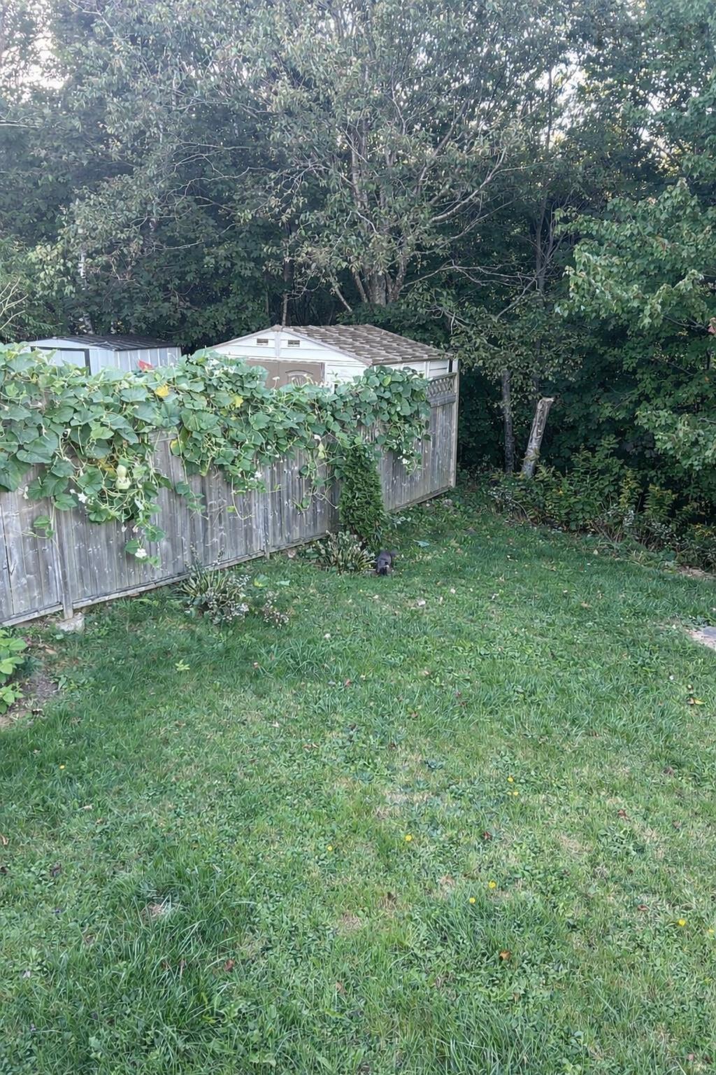 5 Apollo Court, Halifax, NS (MLS 202603240)