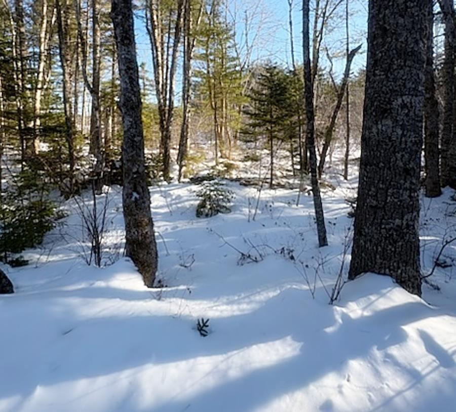 $44,900.00: Lot 1-A Country Road, Labelle