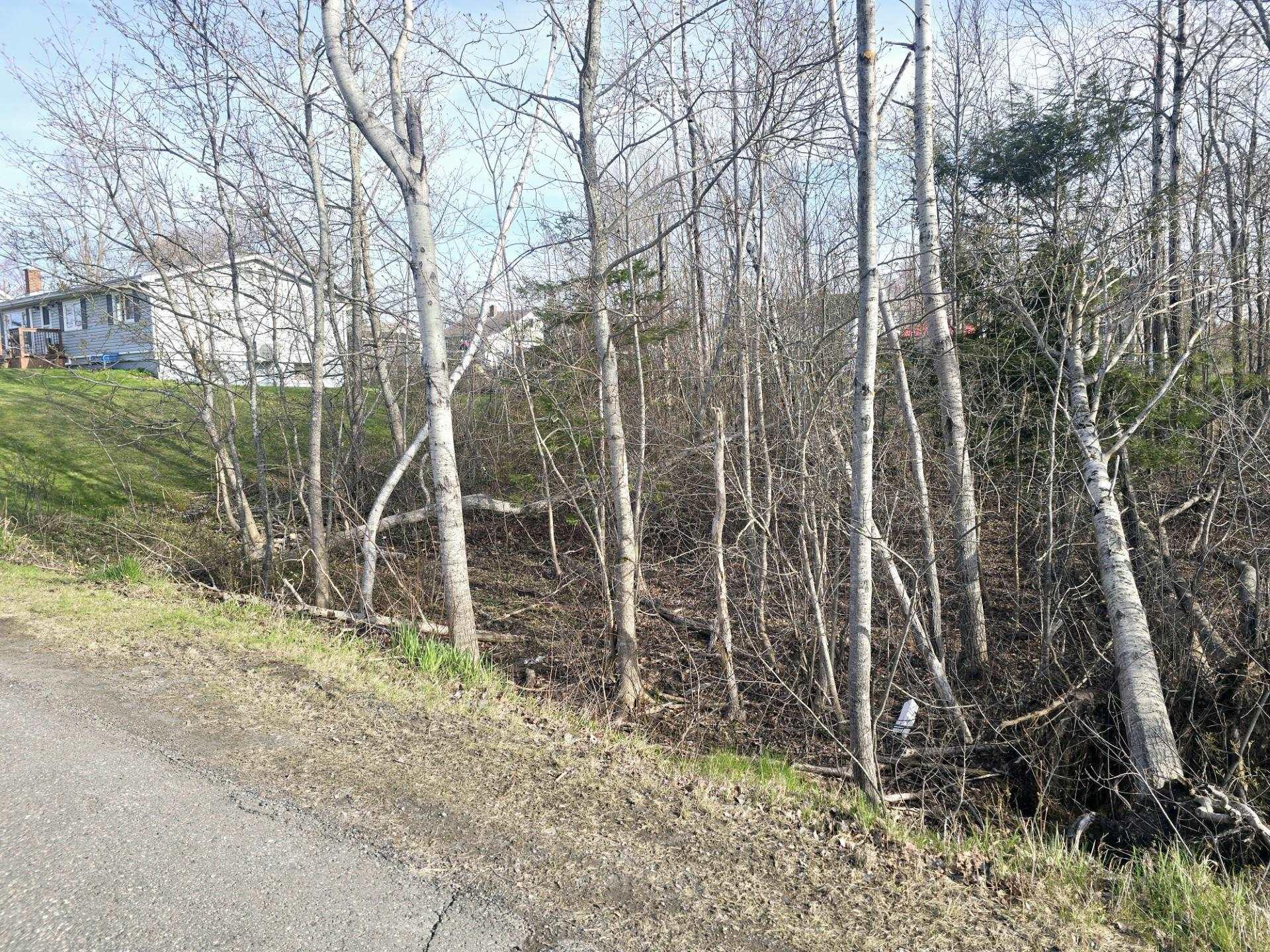 $24,900.00: Lot Belmont Avenue, Stellarton