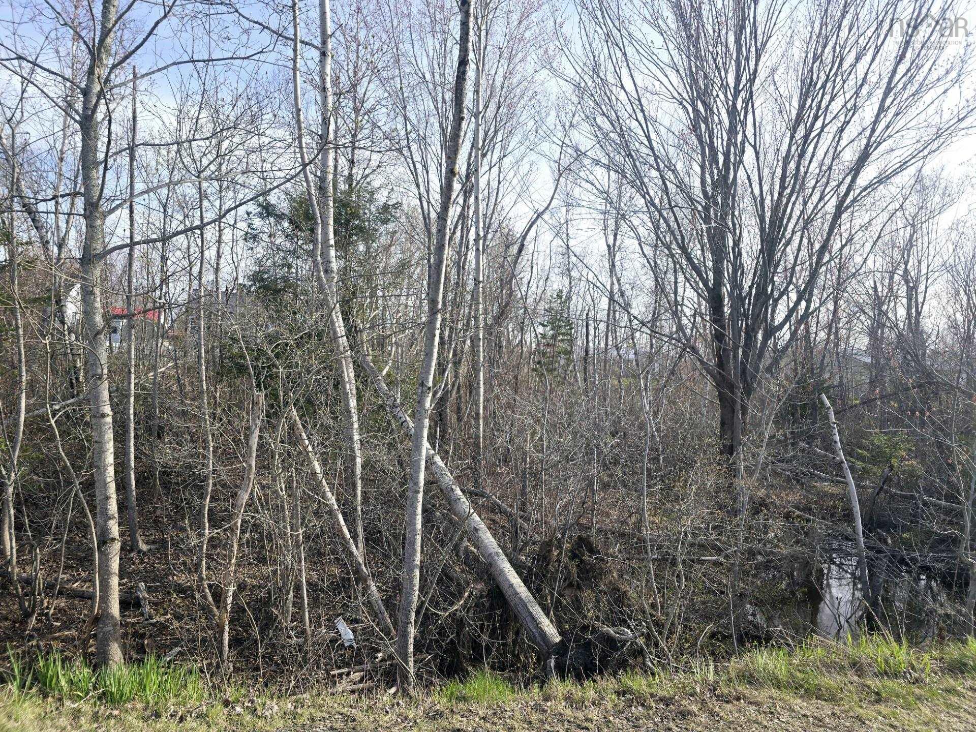 $24,900.00: Lot Belmont Avenue, Stellarton