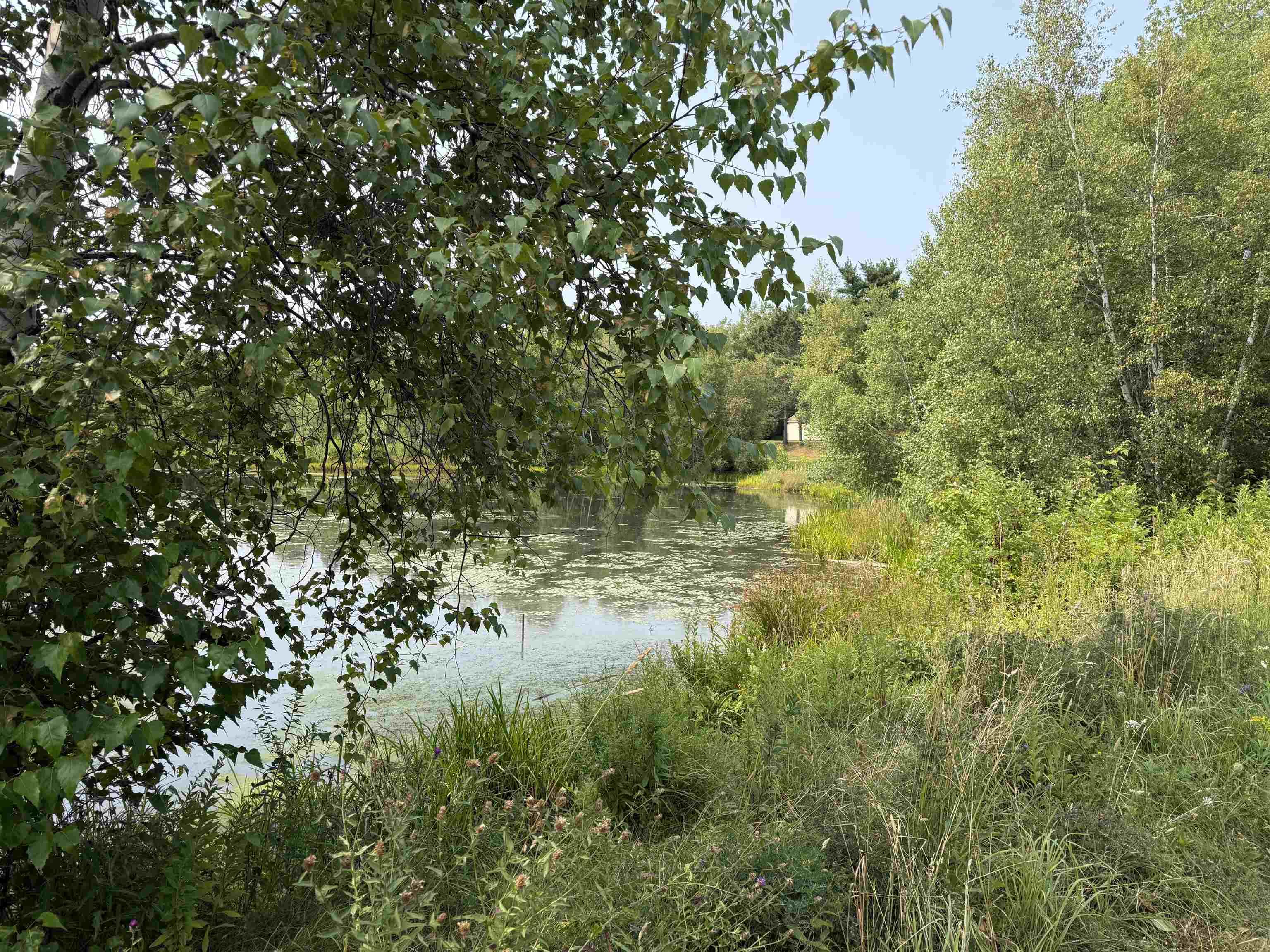 $499,900.00: 123 Chance Harbour Road, Hillside