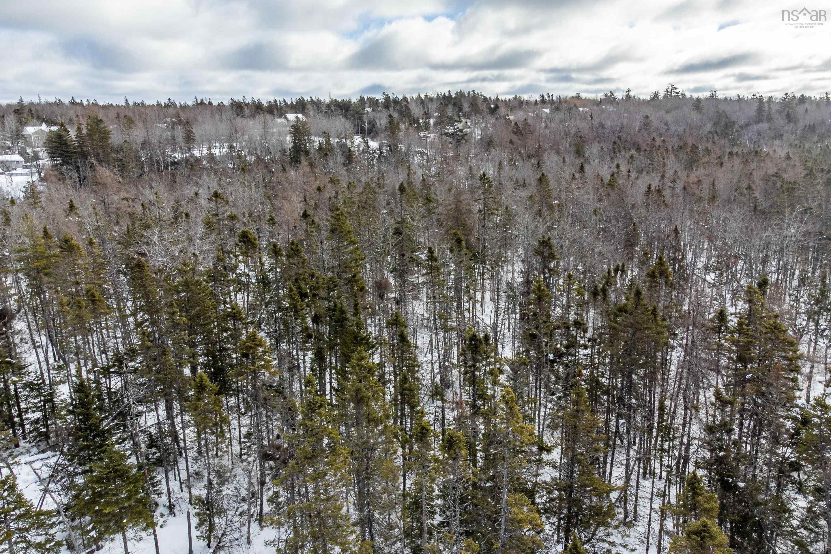 456 Patton Road, Upper Sackville, NS (MLS 202603280)