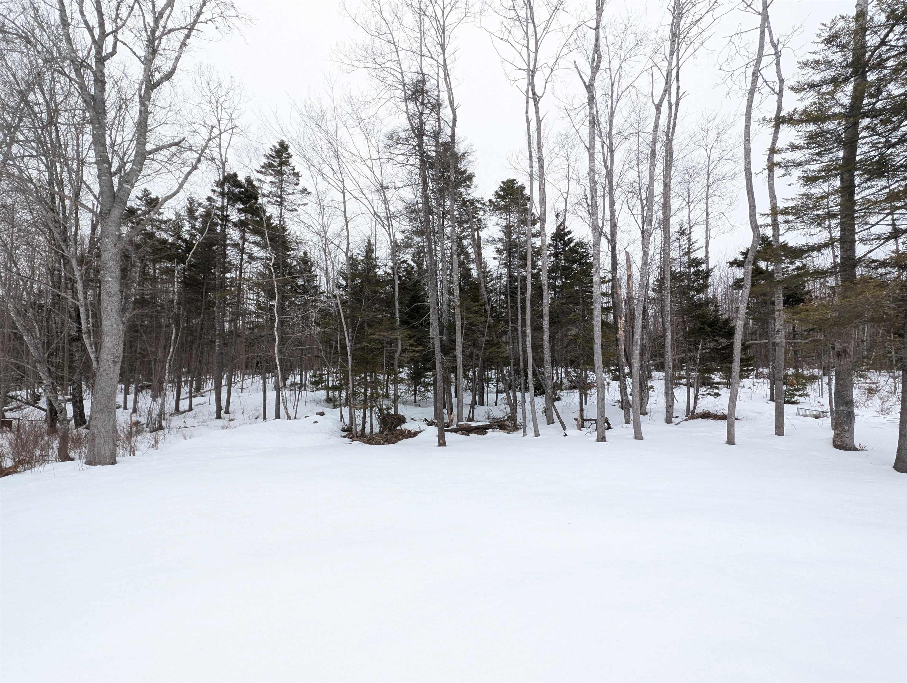 $849,000.00: 128 & 130 Renfrew Road, Hants