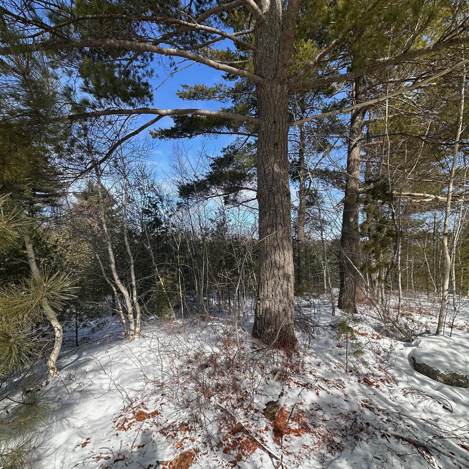 $79,900.00: 58 Eisenhauer Lane, Bridgewater