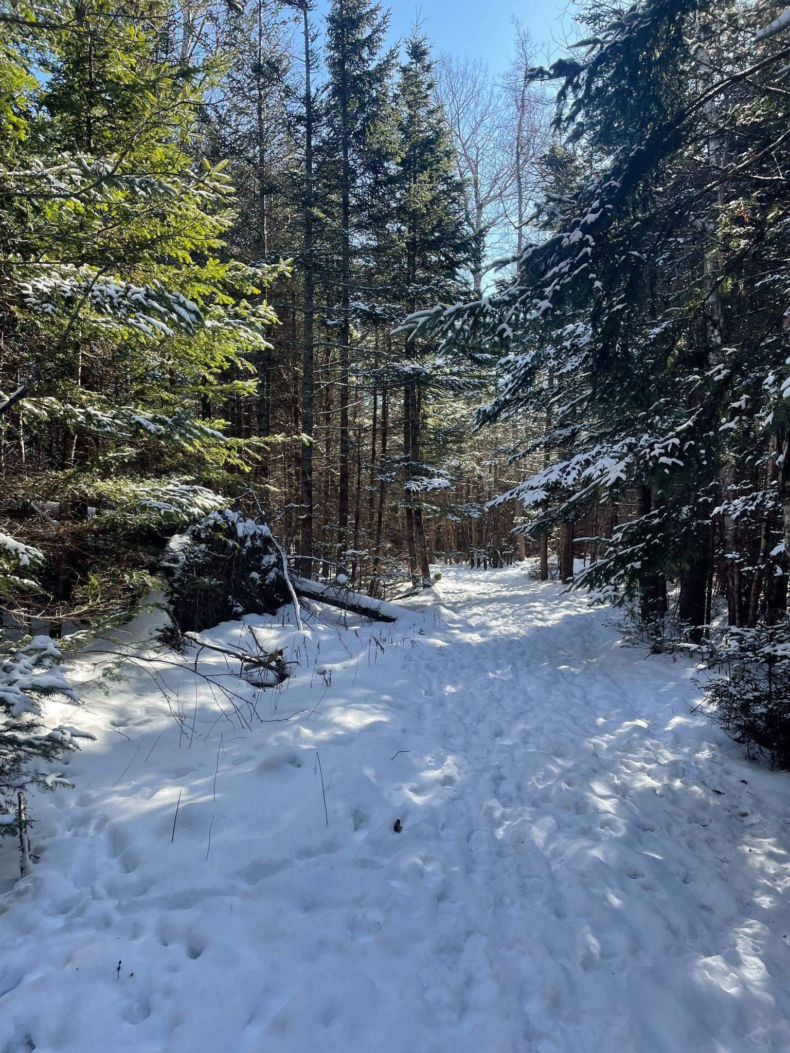 $835,000.00: 9409 Highway 215, Pembroke