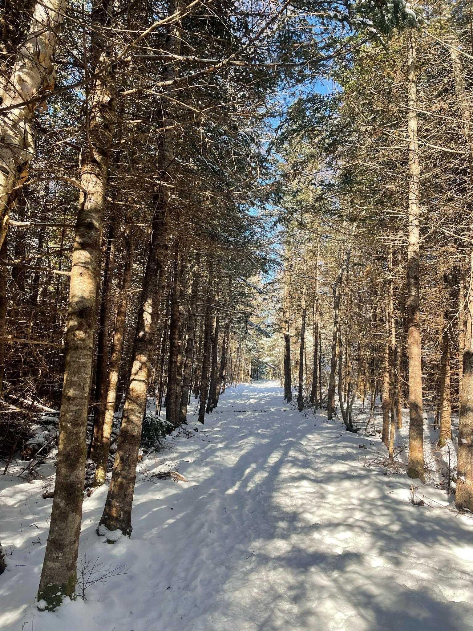 $835,000.00: 9409 Highway 215, Pembroke