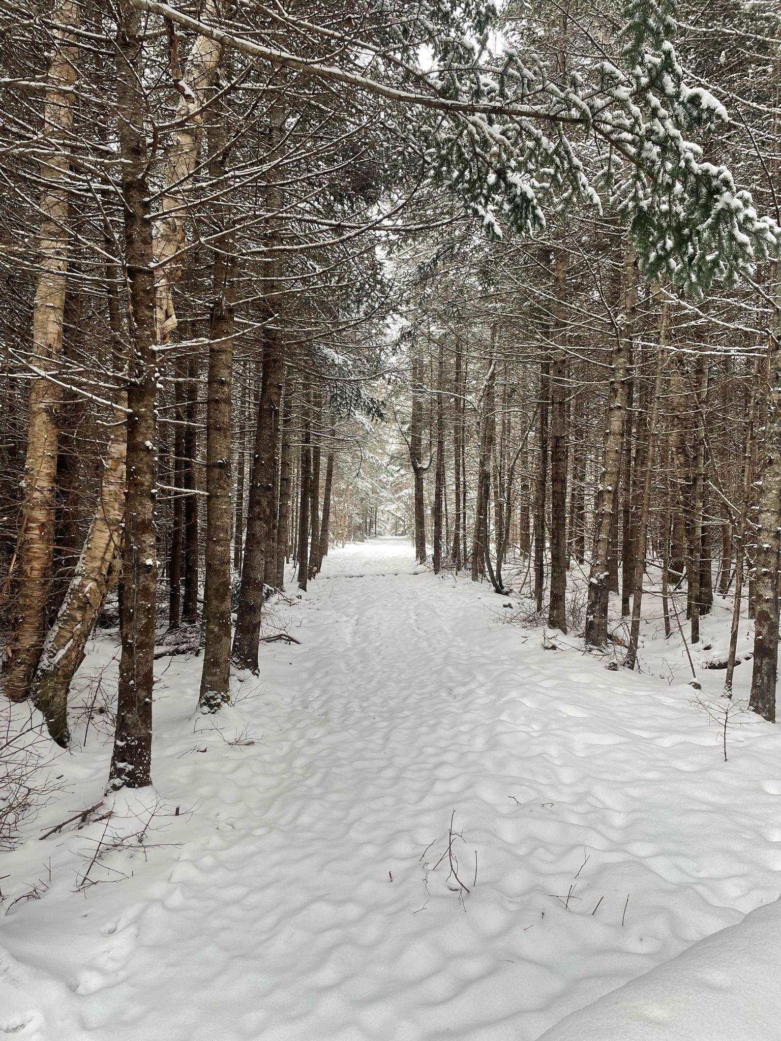 $835,000.00: 9409 Highway 215, Pembroke