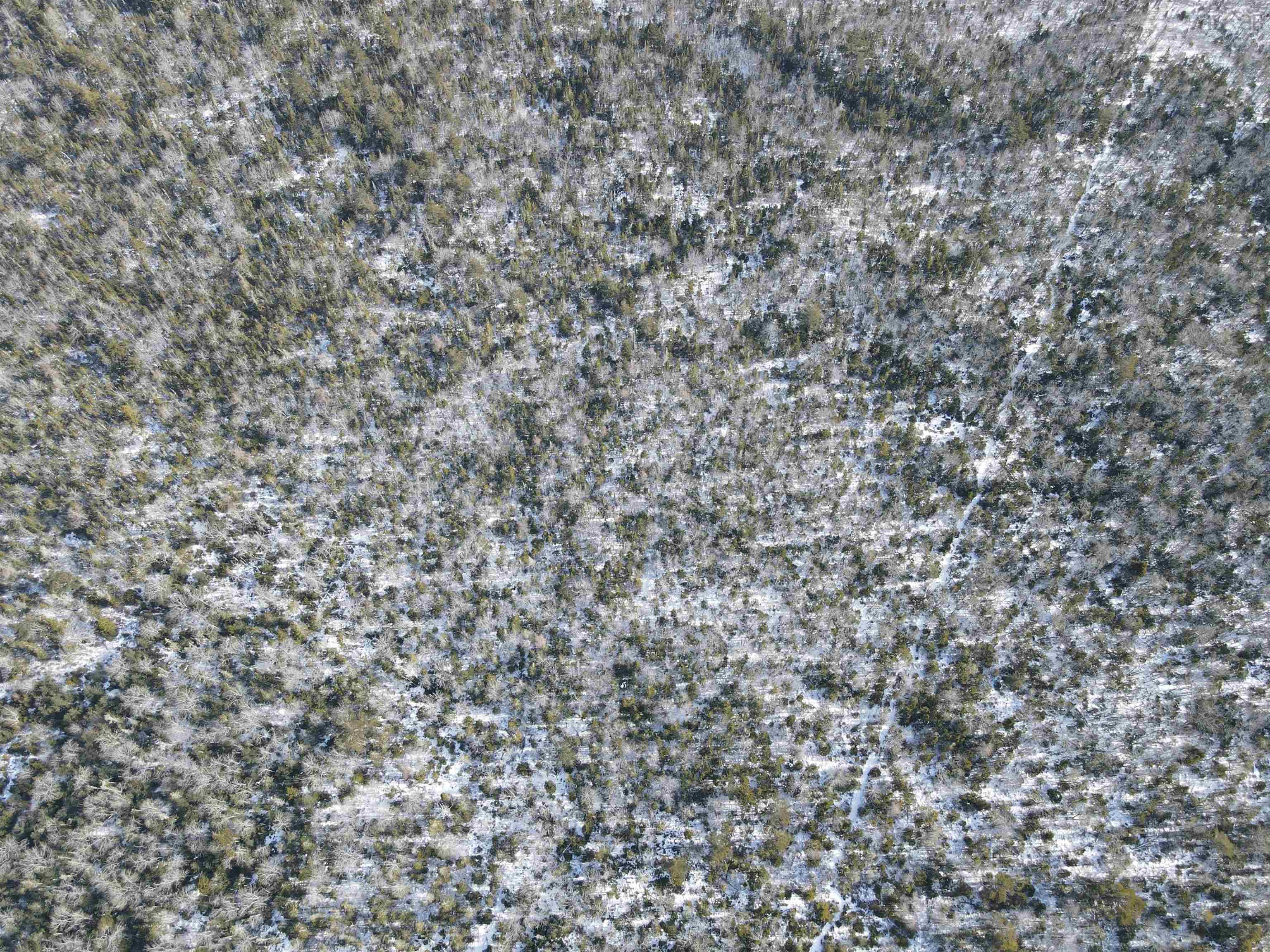 $99,900.00: Highway 3, East Jordan