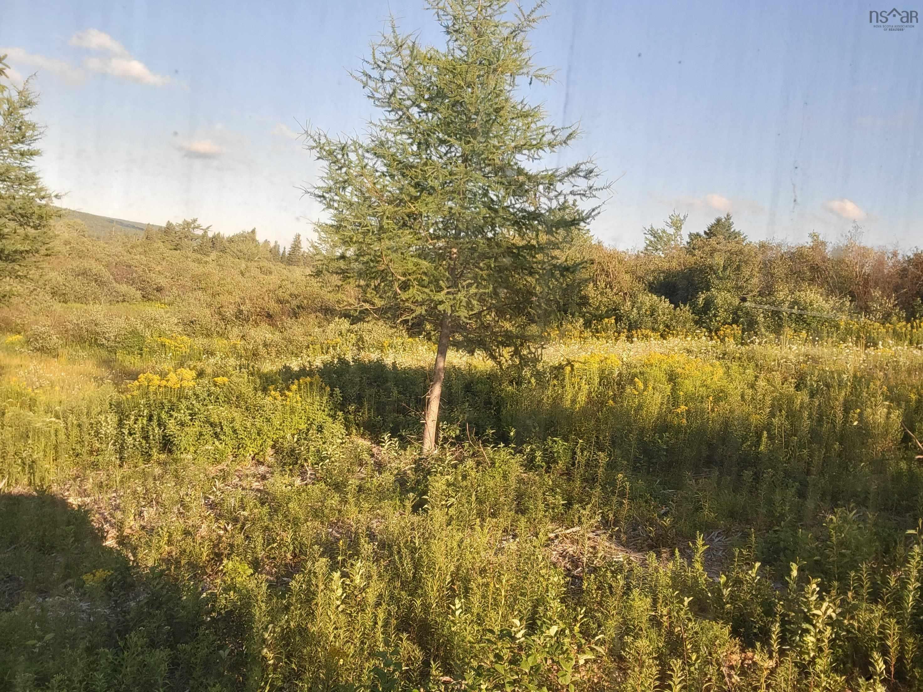 $39,000.00: 3 & 4 Barren Road, River Denys