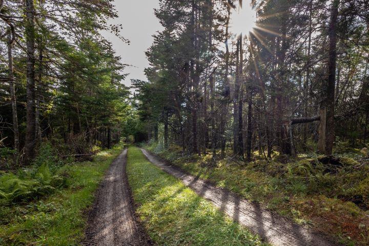 $645,000.00: 8132 Gabarus Highway, Gabarus