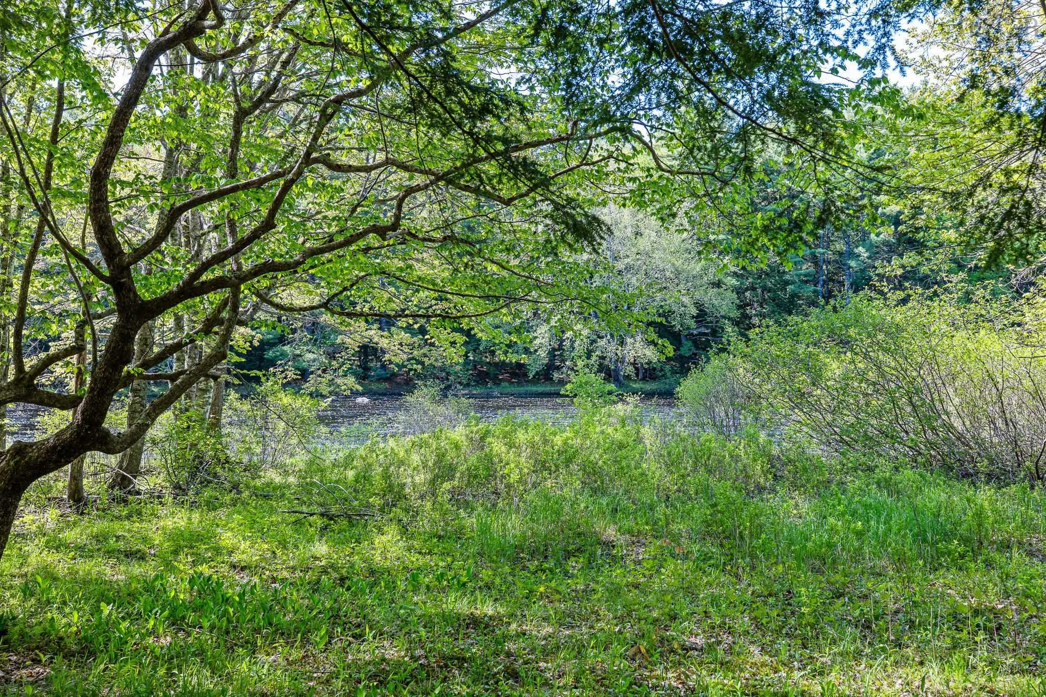 $39,900.00: 2259 Medway River Road, Riversdale