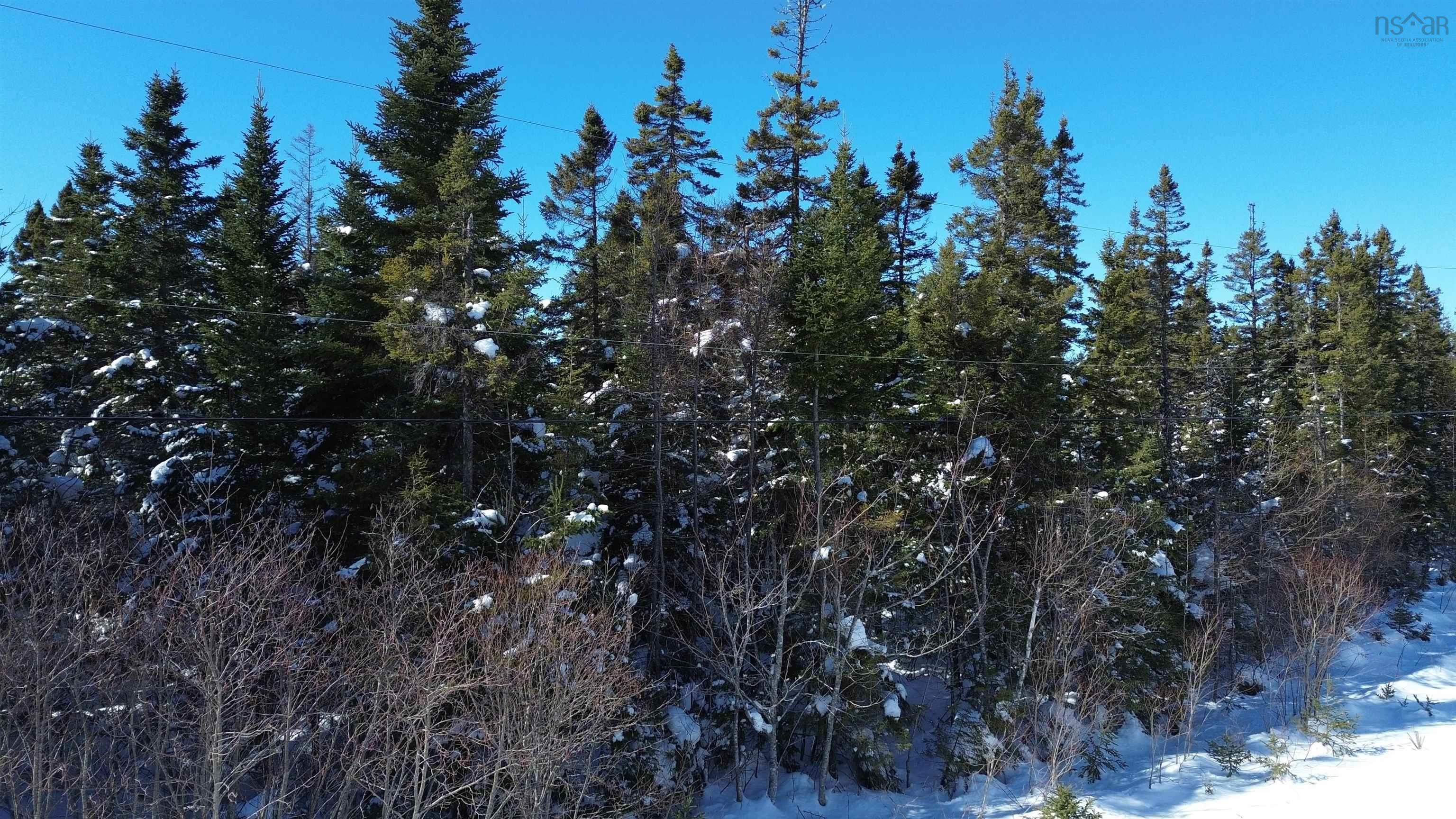 $25,000.00: Lot 4 No 4 Highway, Kempt Road