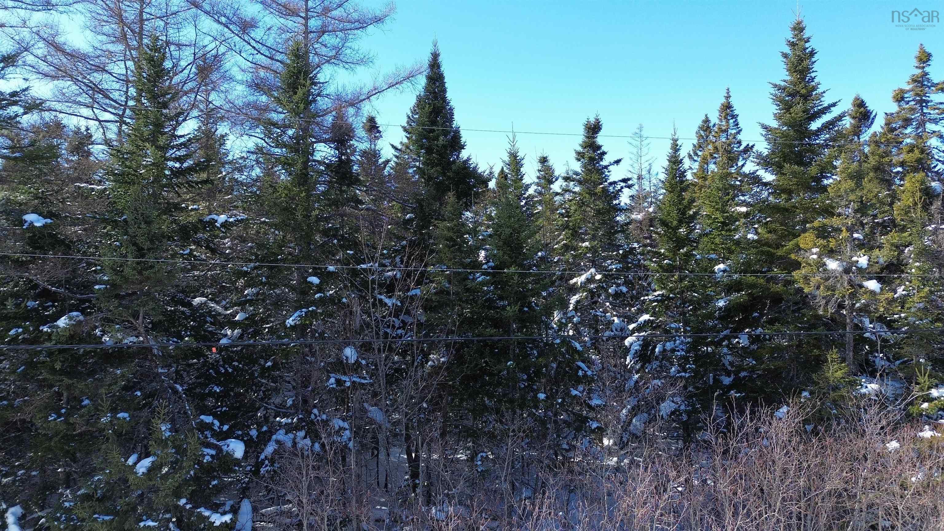 $25,000.00: Lot 4 No 4 Highway, Kempt Road