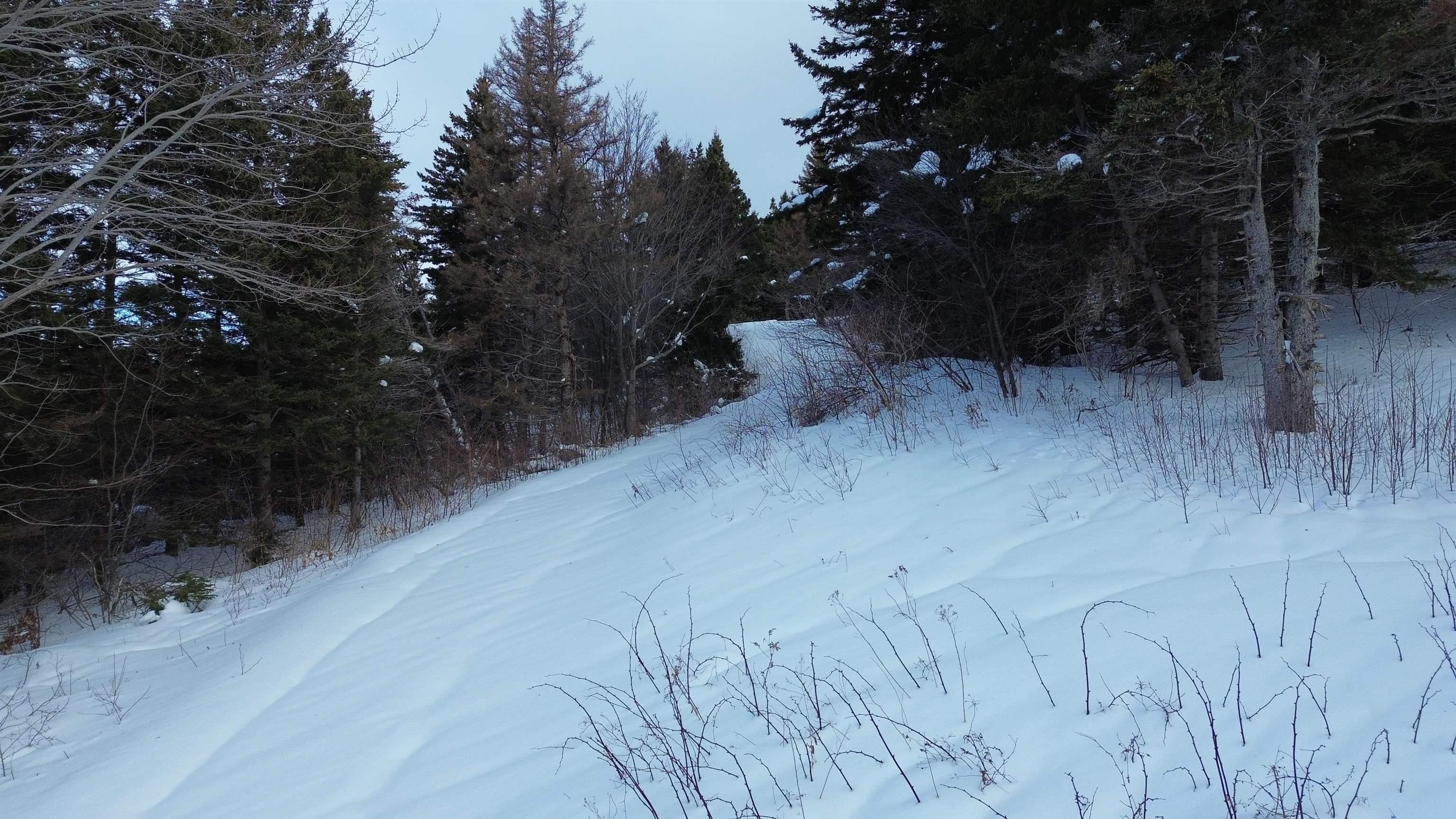 $189,500.00: 3166 Highway 19, Craigmore