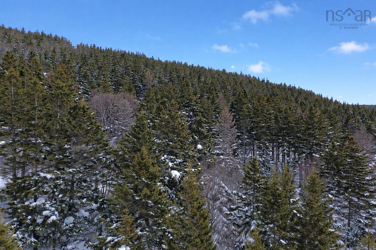 $189,500.00: 3166 Highway 19, Craigmore