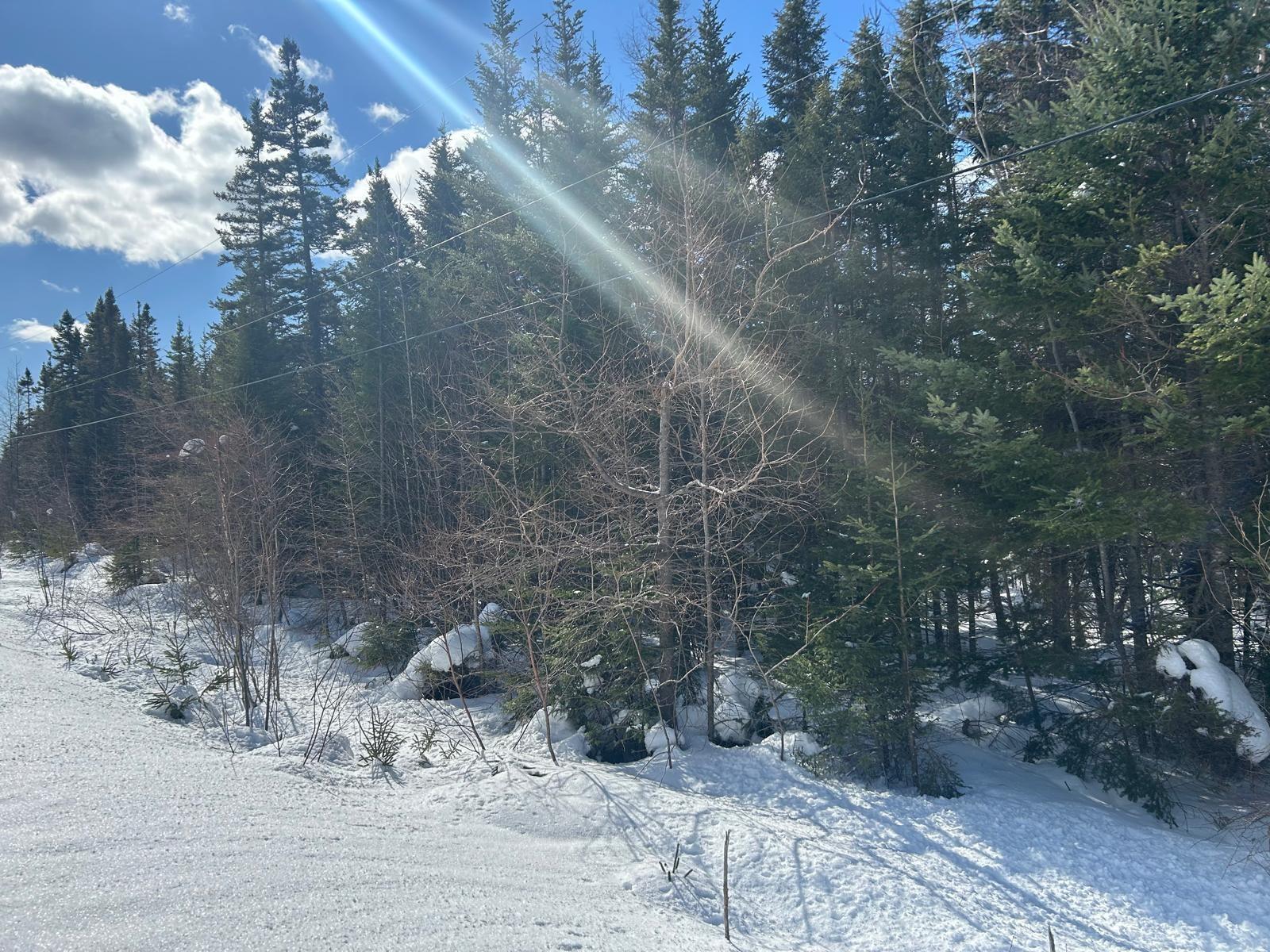 $35,000.00: 21 Doris Lane, Kempt Road