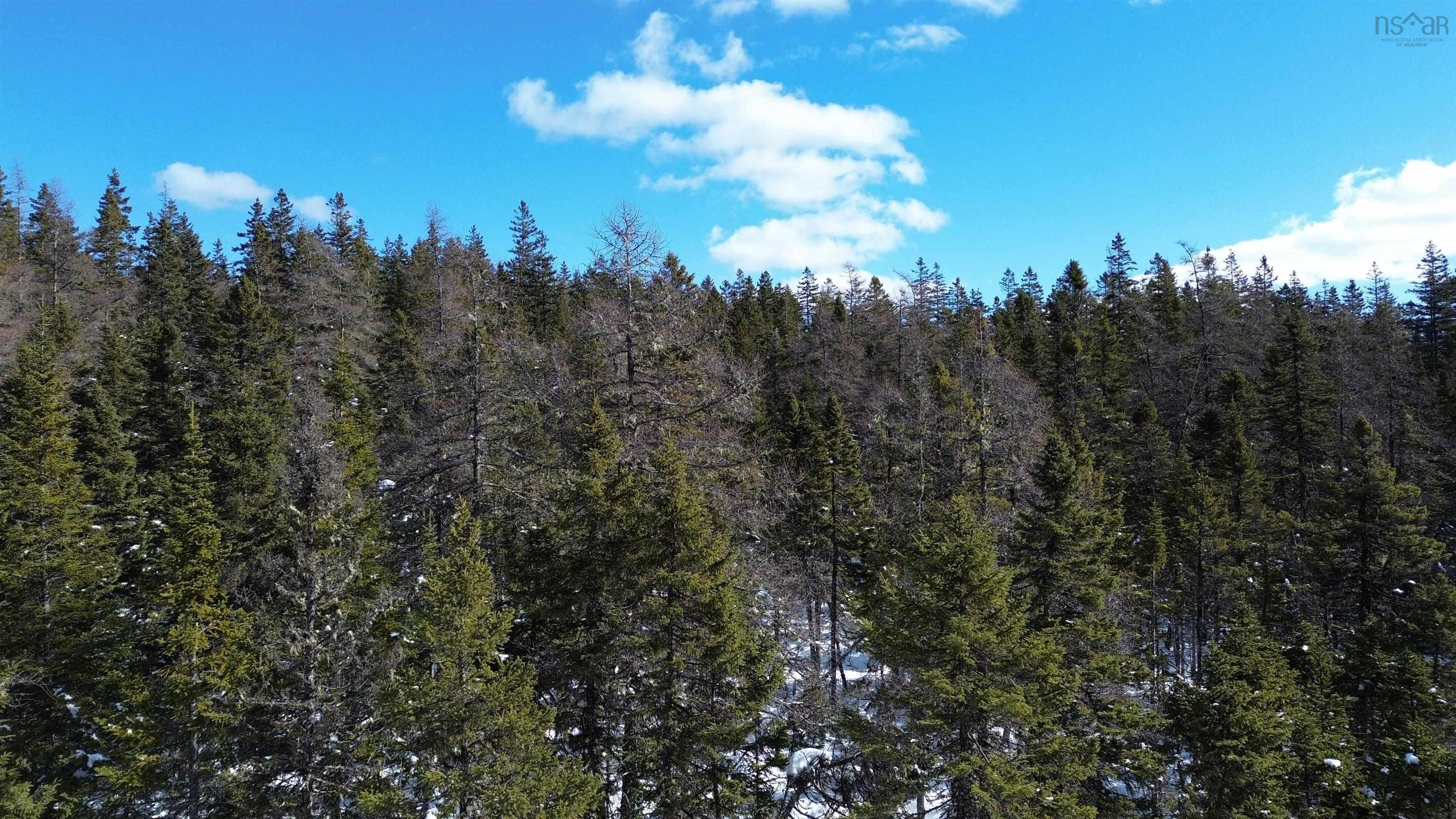 $35,000.00: 21 Doris Lane, Kempt Road