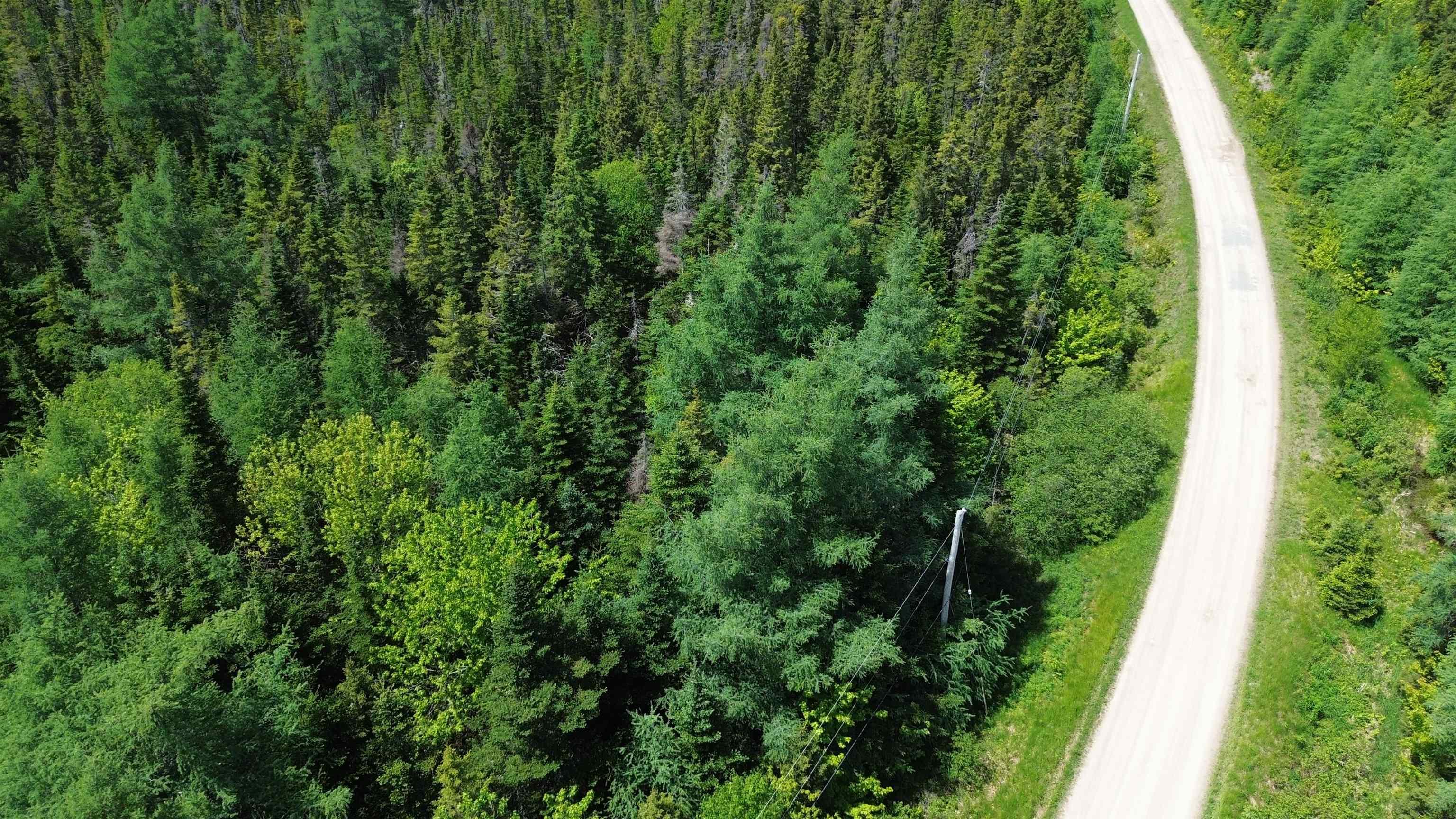 $35,000.00: 21 Doris Lane, Kempt Road
