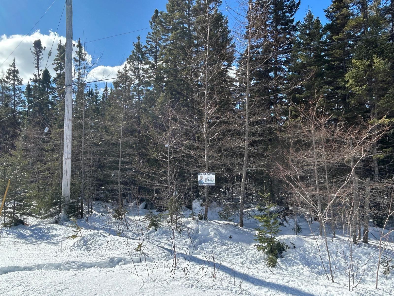 $35,000.00: 21 Doris Lane, Kempt Road