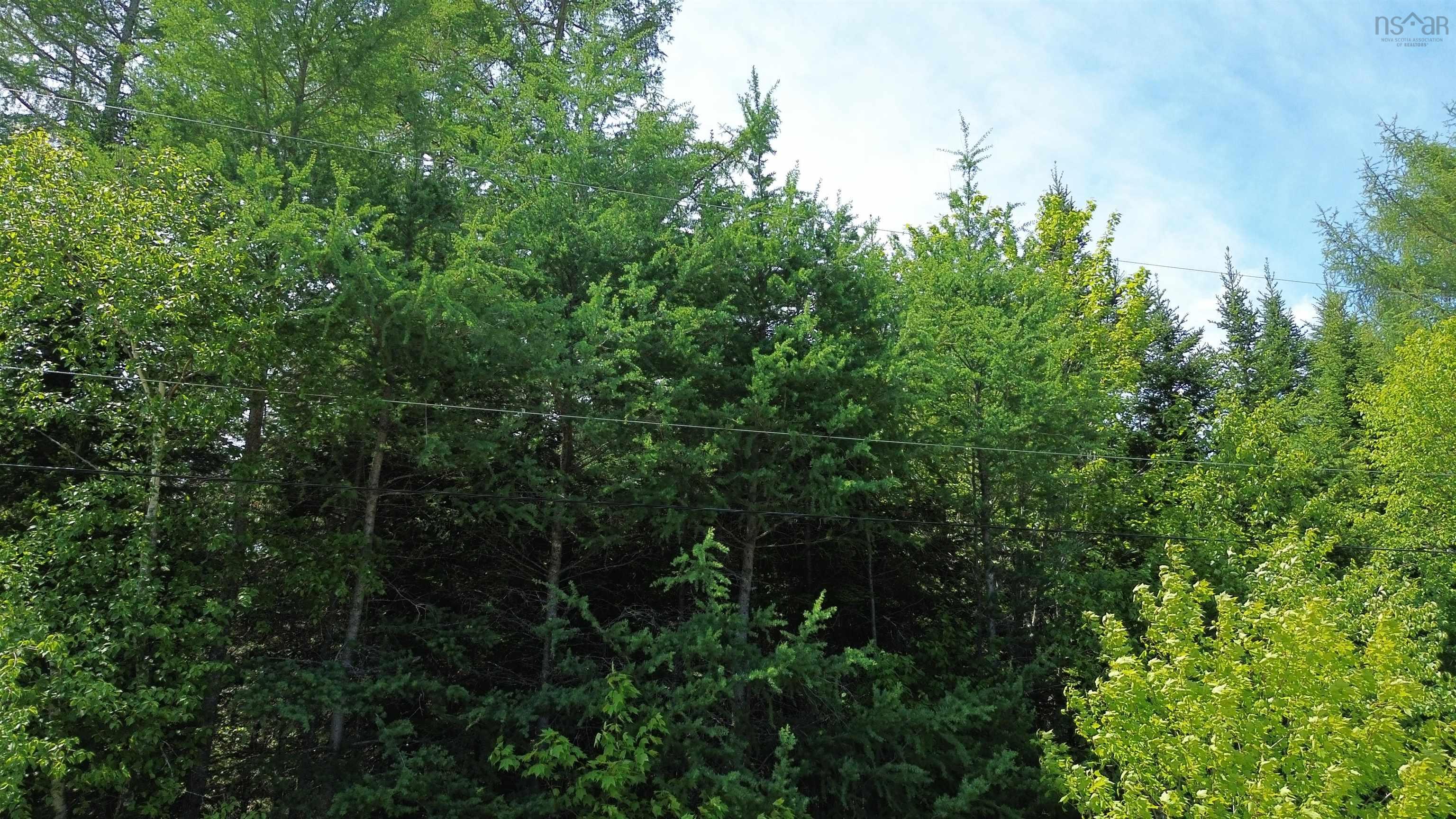 $35,000.00: Lot 28 No 4 Highway, Kempt Road