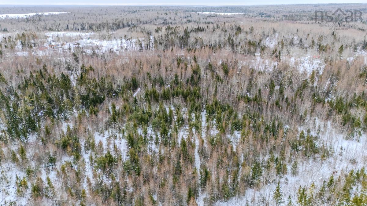 $130,000.00: Lot PLEASANT VALLEY Road, Pleasant Valley