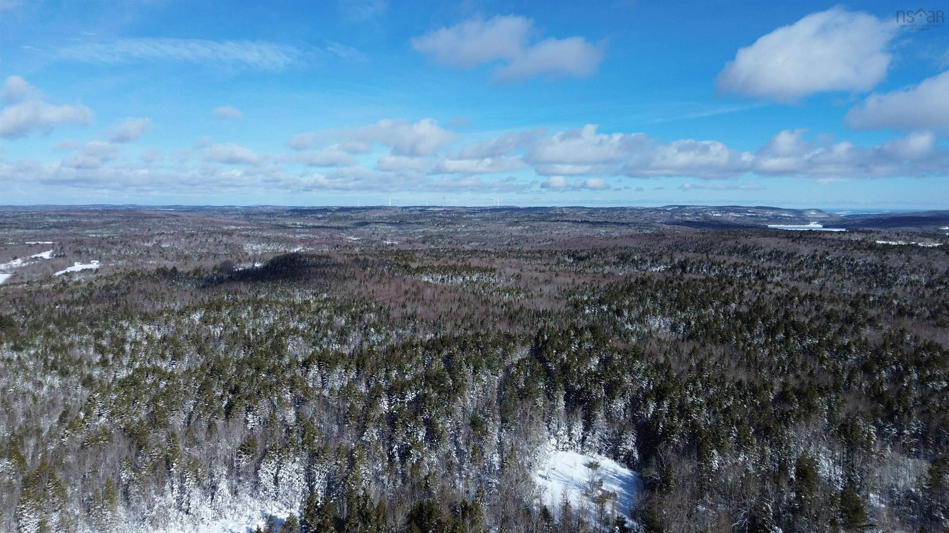 $100,000.00: 60 Acres Wile Settlement Road, Wile Settlement