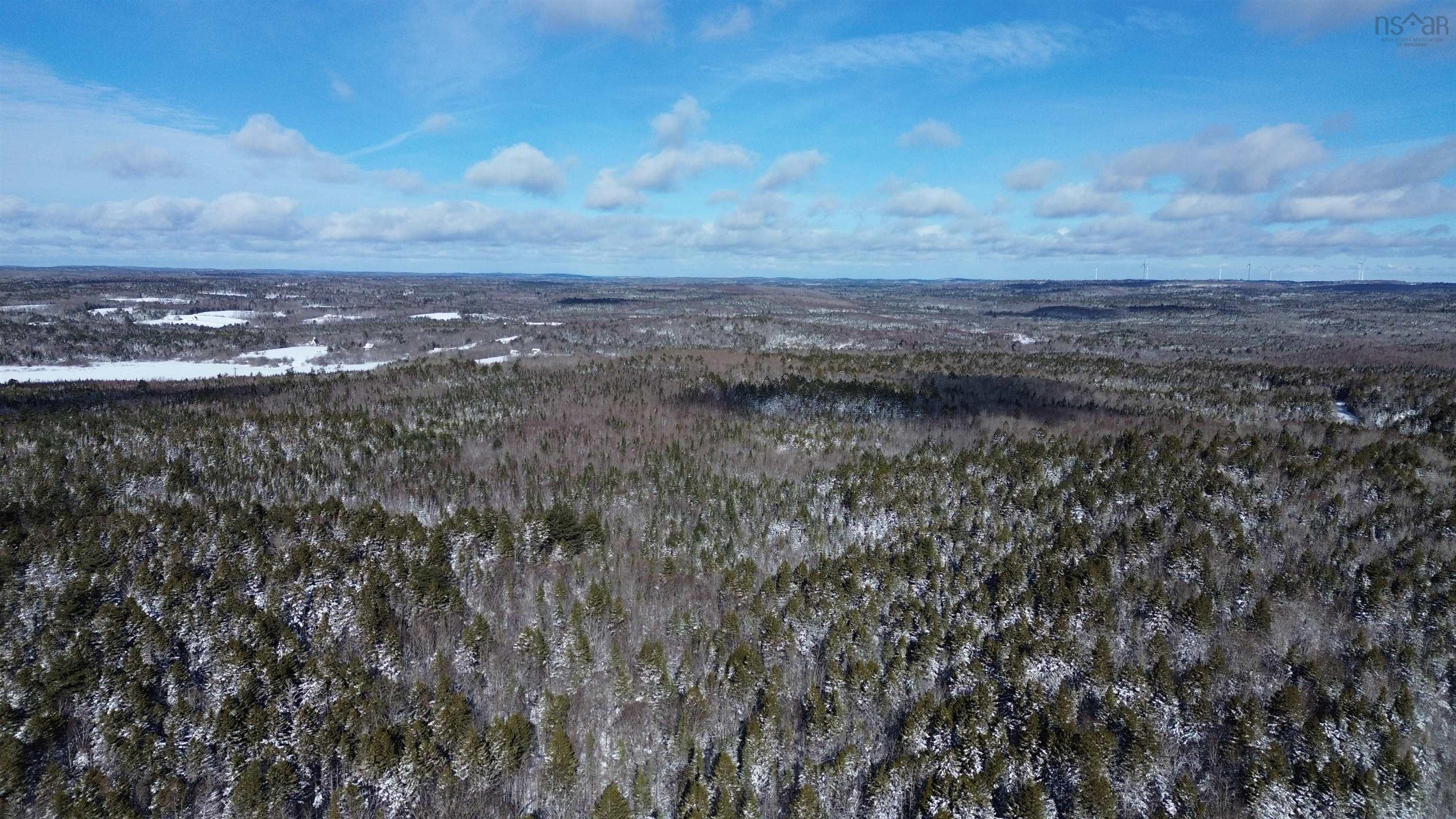 $100,000.00: 60 Acres Wile Settlement Road, Wile Settlement