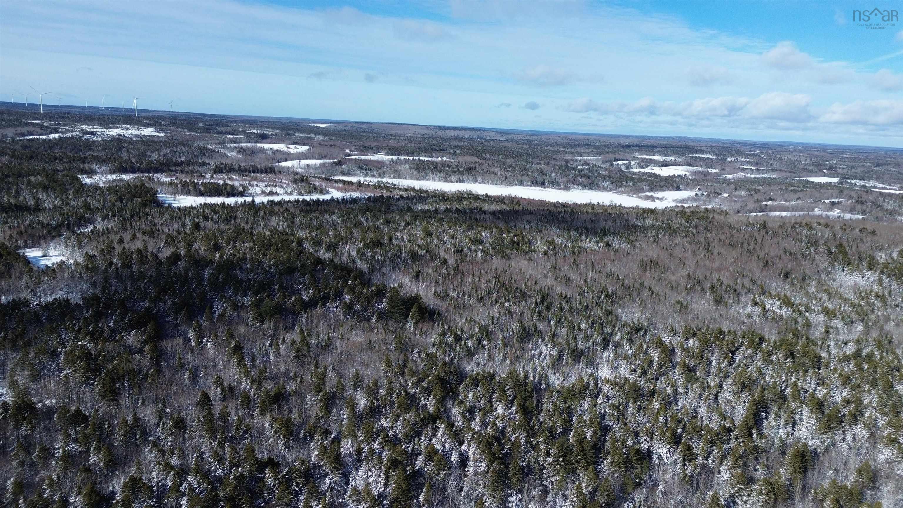 $100,000.00: 60 Acres Wile Settlement Road, Wile Settlement