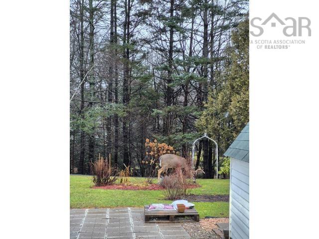 51 Contessa Court, Lower Sackville, NS (MLS 202603396)