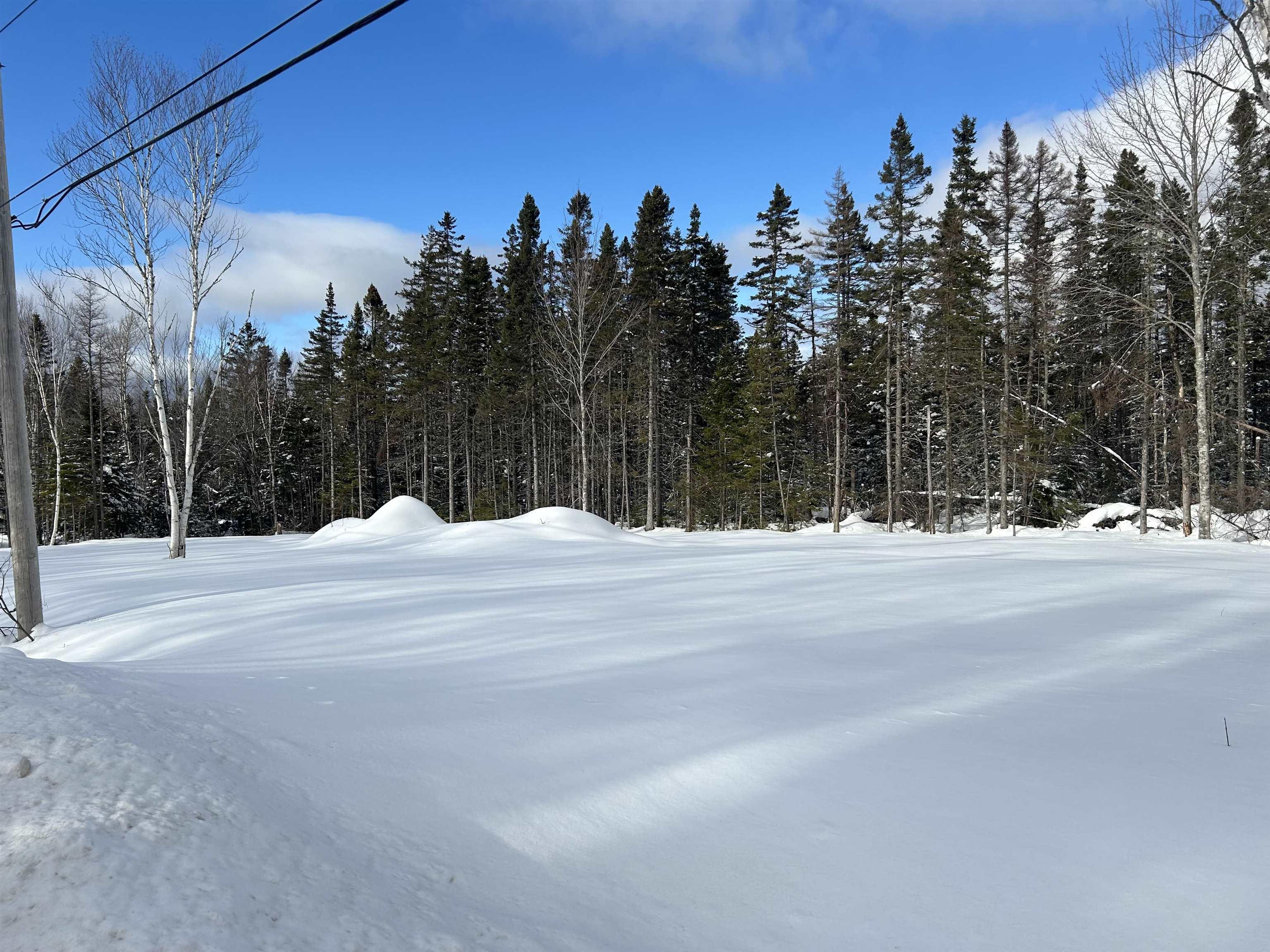 $59,000.00: 0 Meadows Road, Sydney Forks