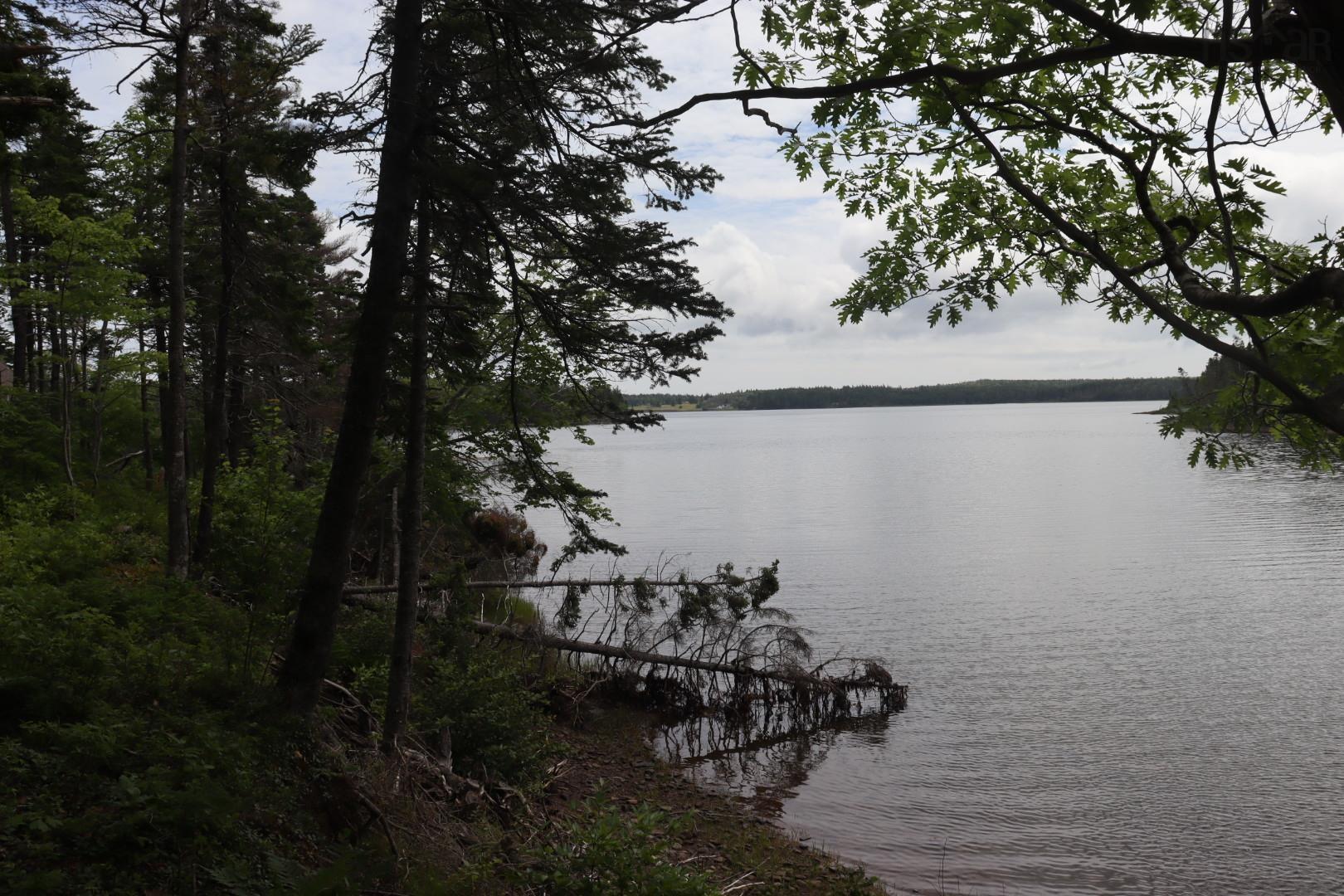 $119,000.00: Lot 4 Point View Road, Louisdale