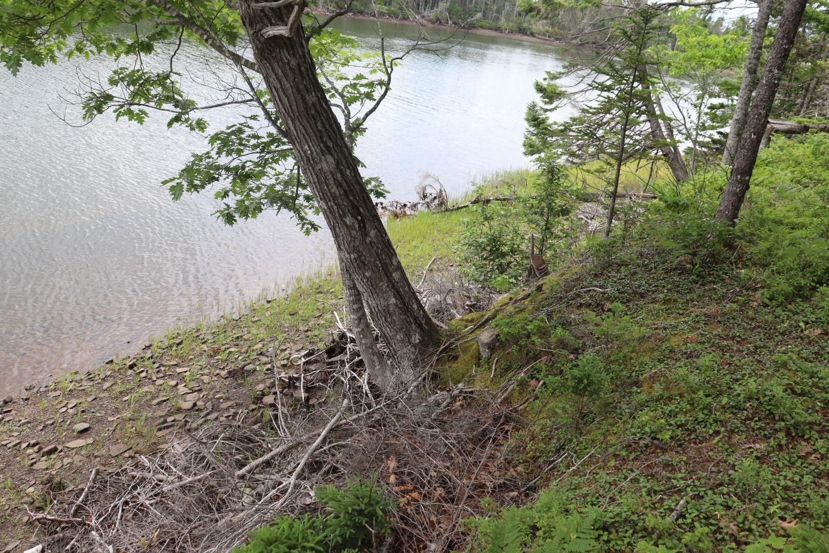 $119,000.00: Lot 4 Point View Road, Louisdale