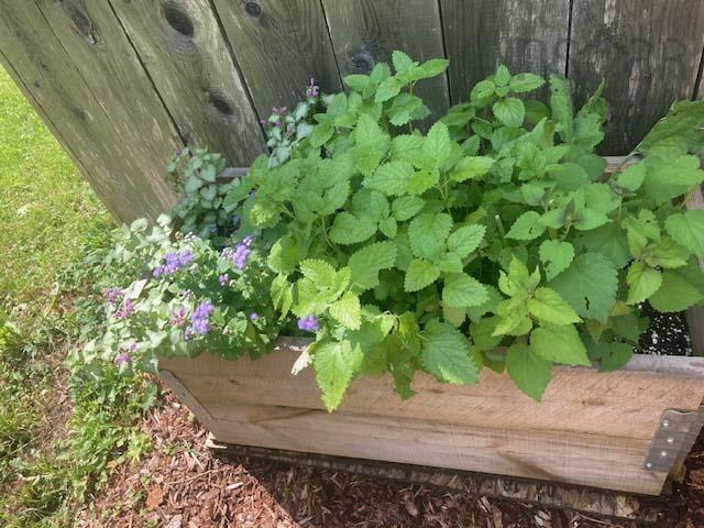 $317,000.00: Lot 243  1543 Millsville Road, Scotsburn