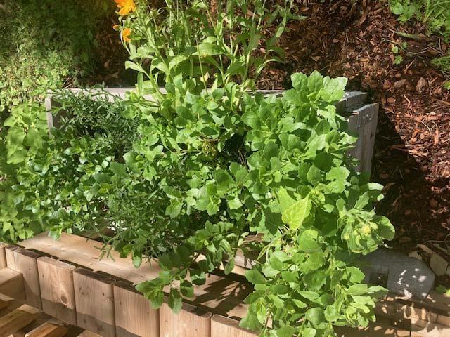 $317,000.00: Lot 243  1543 Millsville Road, Scotsburn