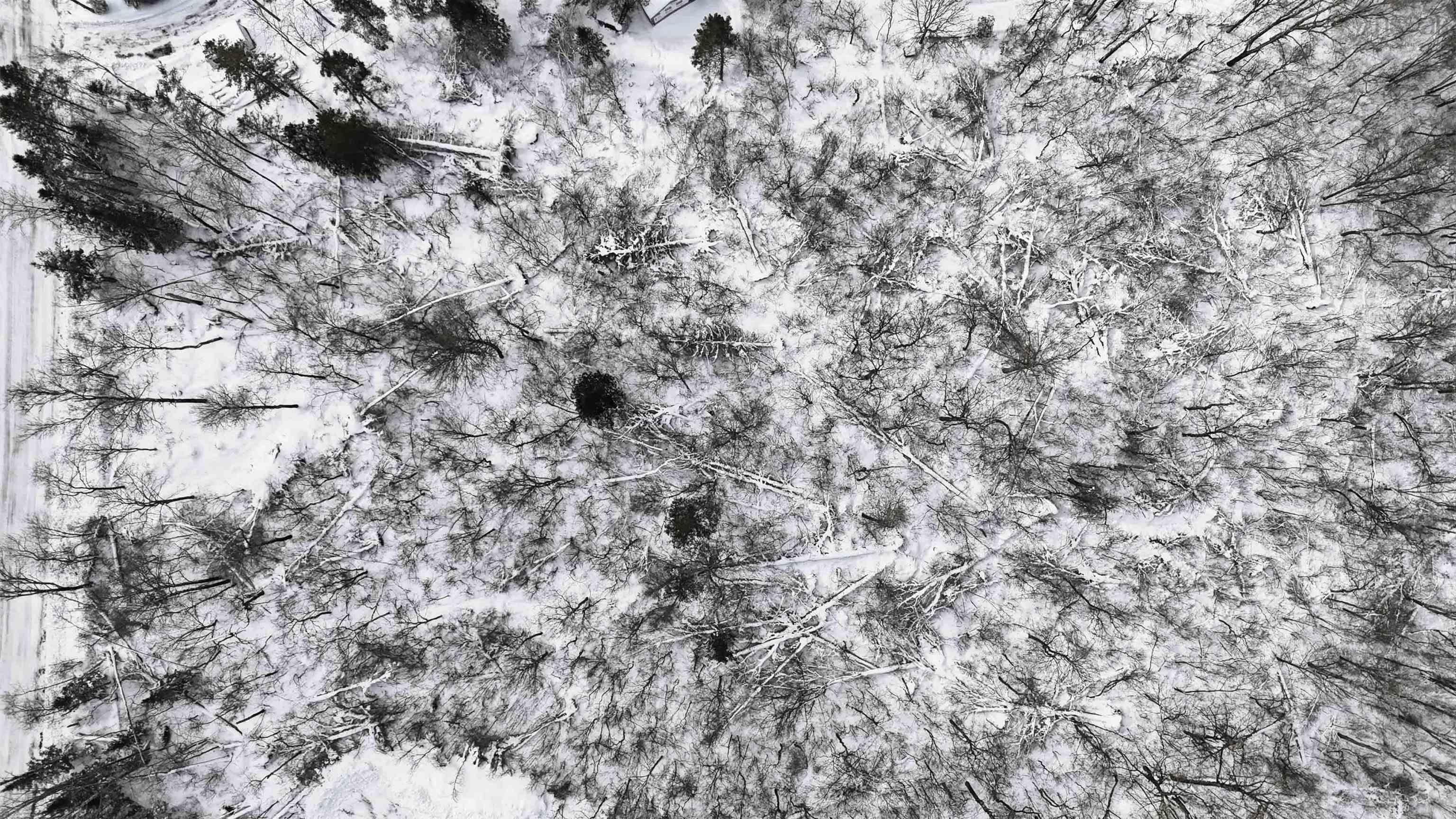 $49,900.00: 7B William McCulloch Road, Upper Kennetcook