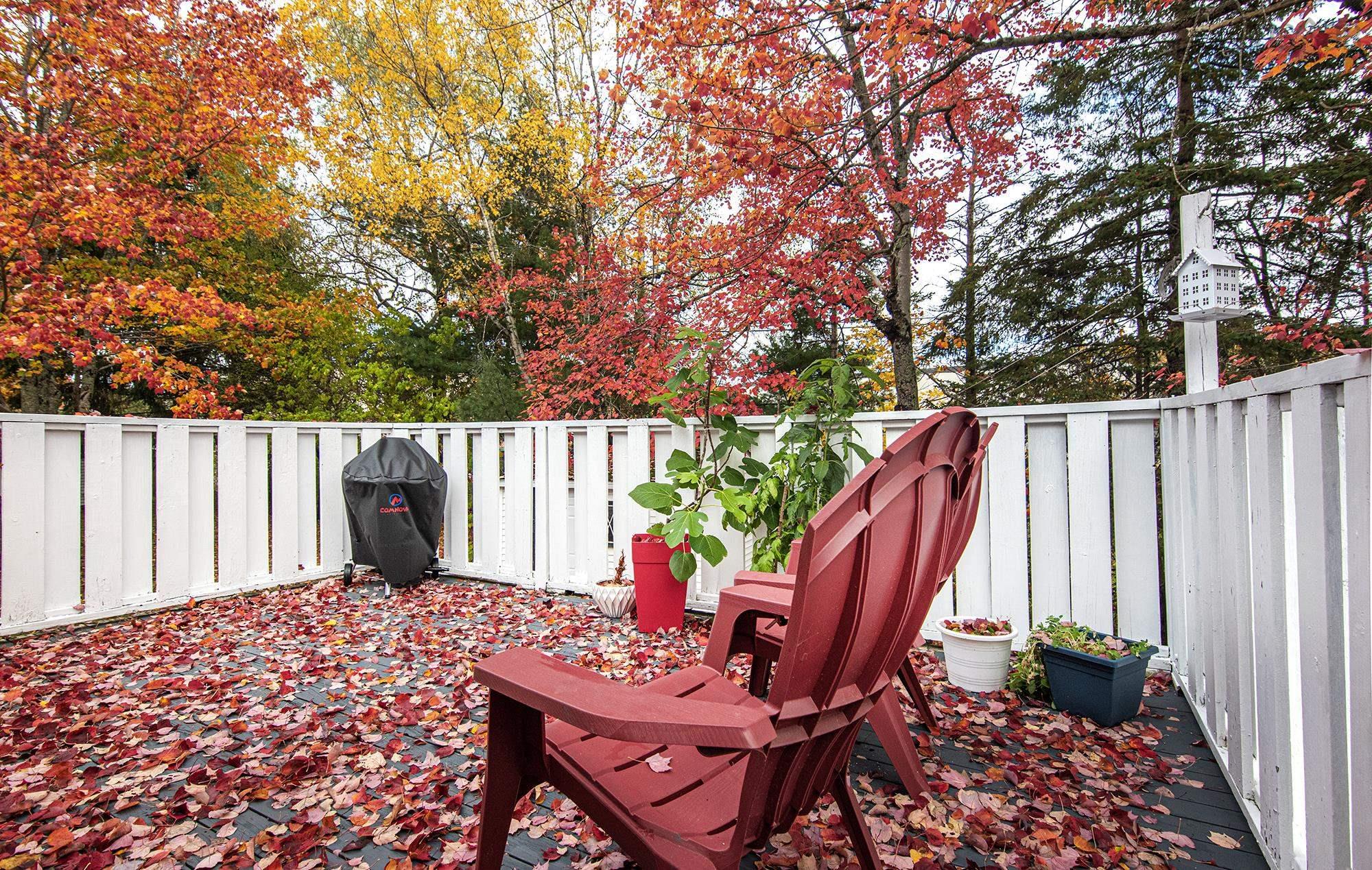 73 Union Street, Bedford, NS (MLS 202603499)